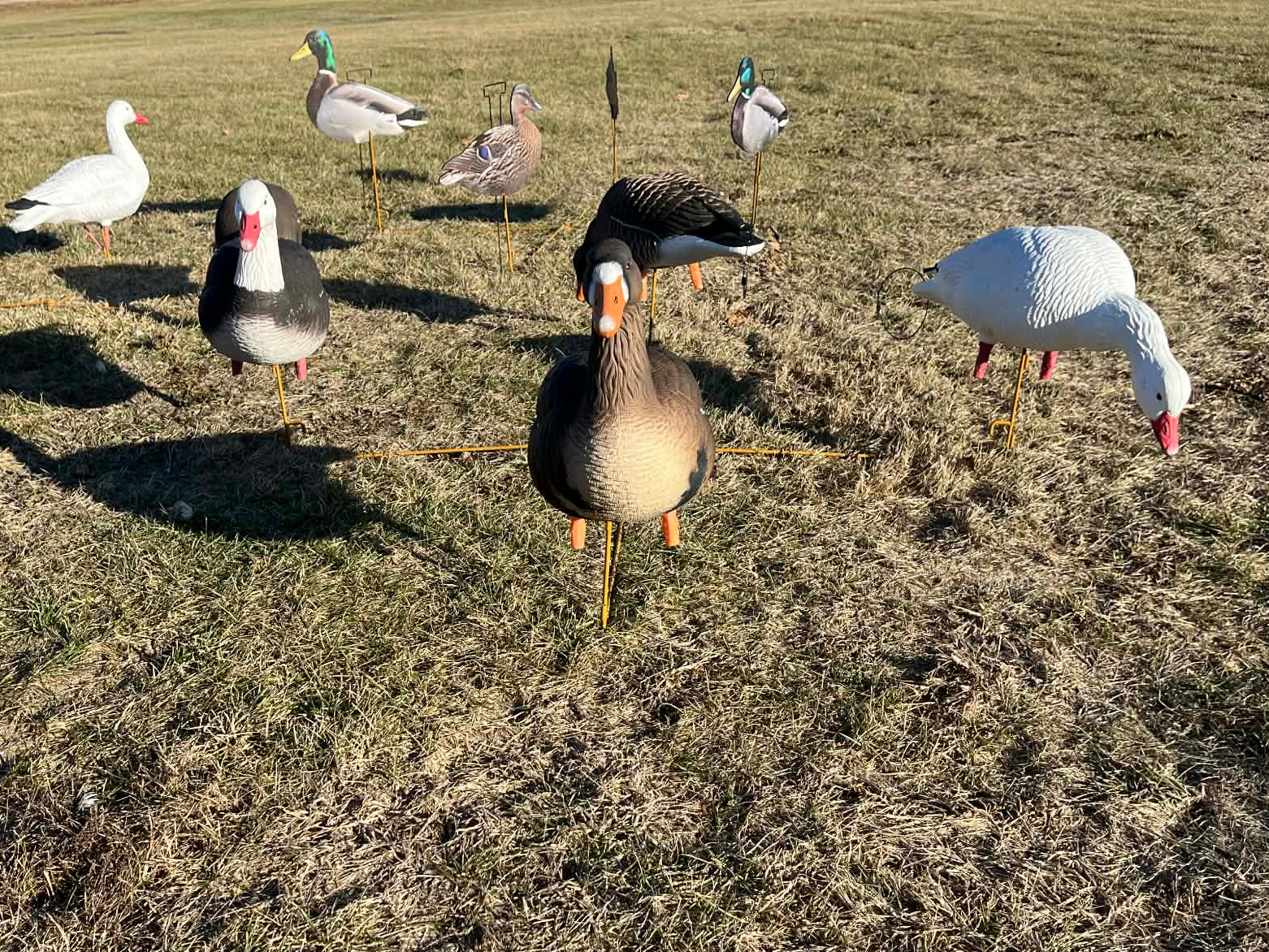 RAPID RACK - Decoy Deployment System (3-Pack - holds 12 decoys)