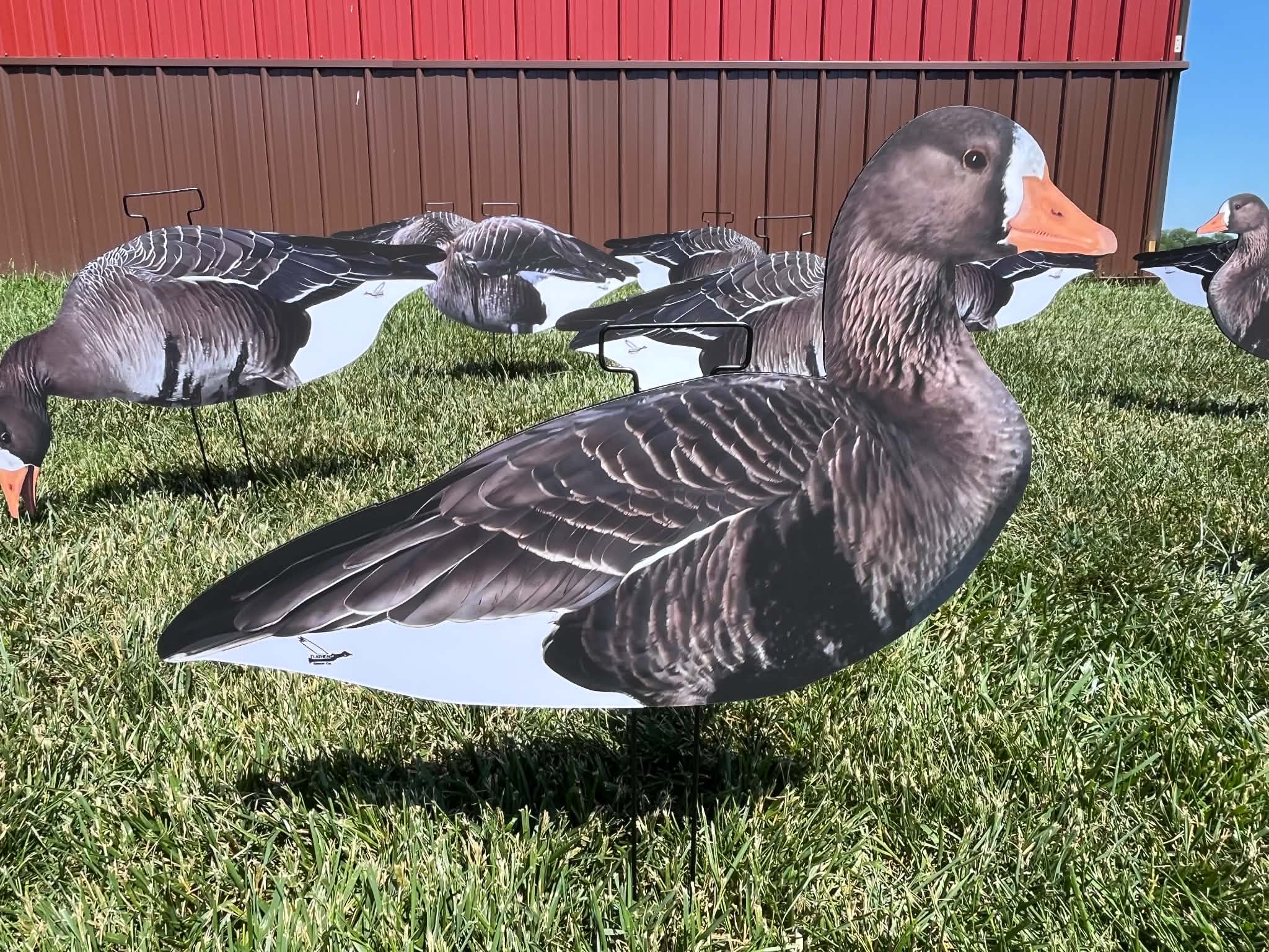 Specklebelly Goose Silhouette Decoys - "Per Dozen"