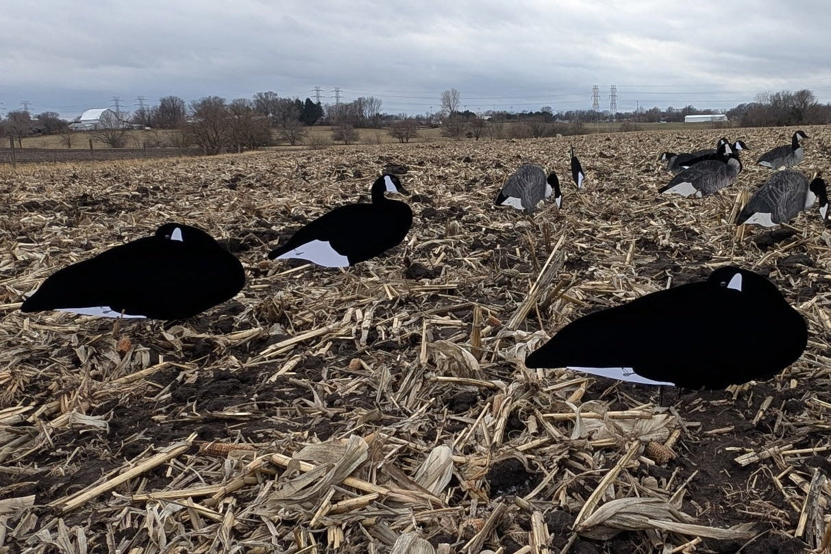 Fully Flocked Black & White Canada Goose Silhouette Decoys - "Per Dozen"