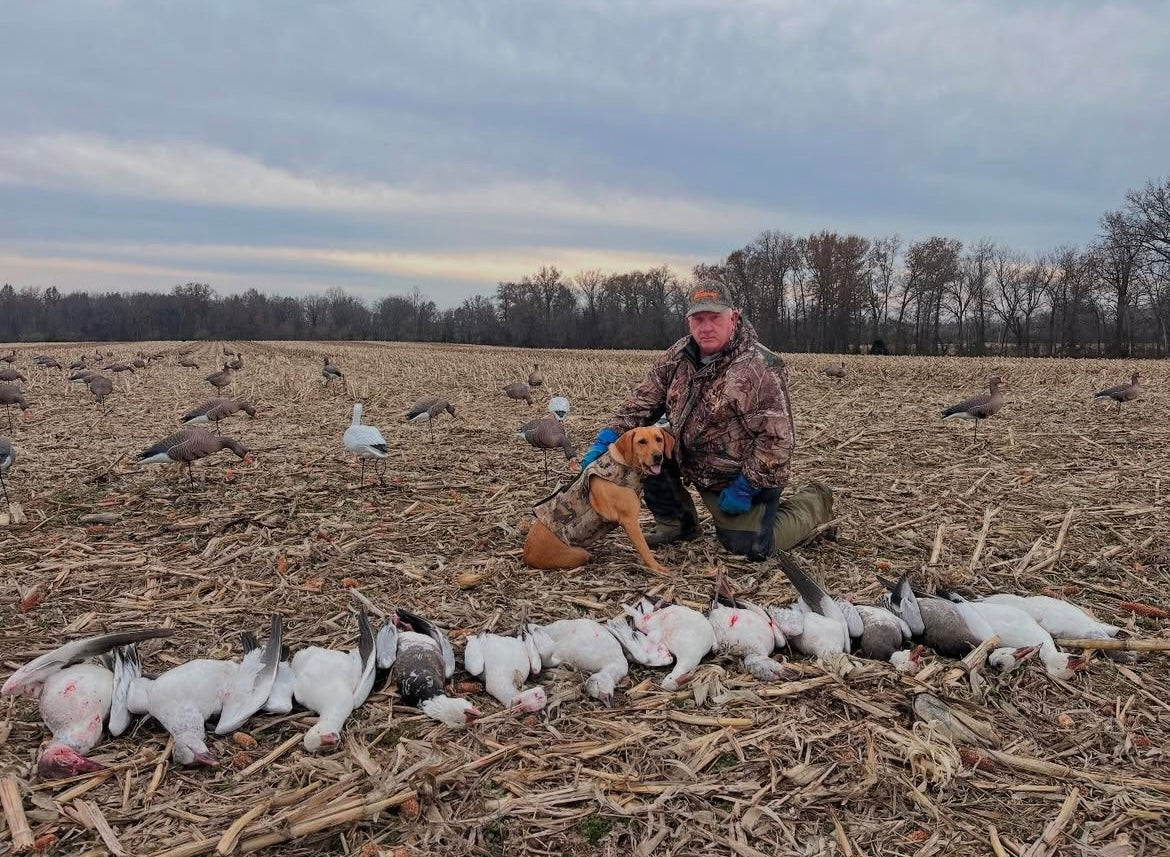 Full Body Specklebelly Goose Decoys "PE Plastic" (hard body) “Per 6-Pack"