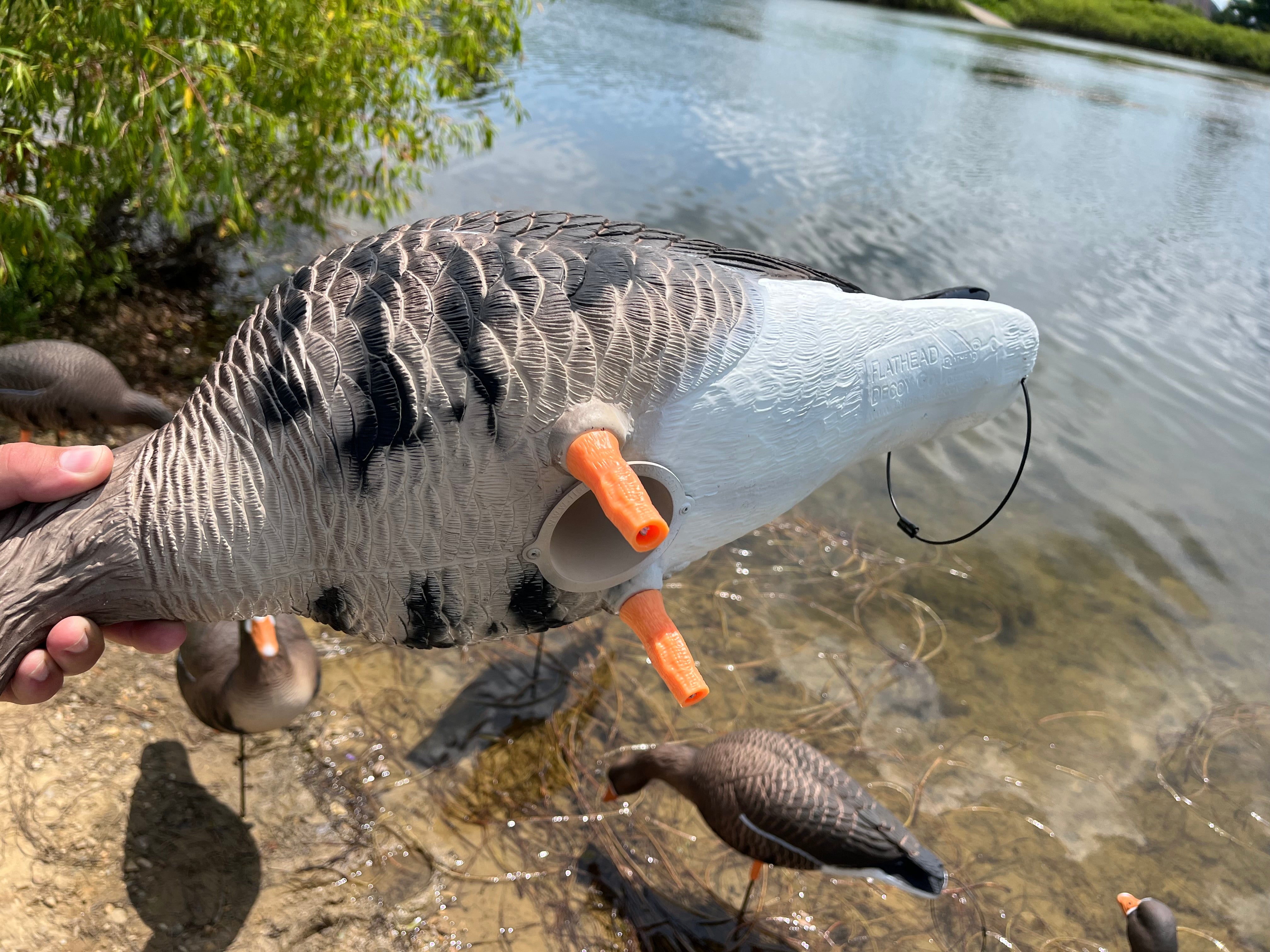 Full Body Specklebelly Goose Decoys "PE PLASTIC" with 14” Square Bases - "Per 6-Pack"