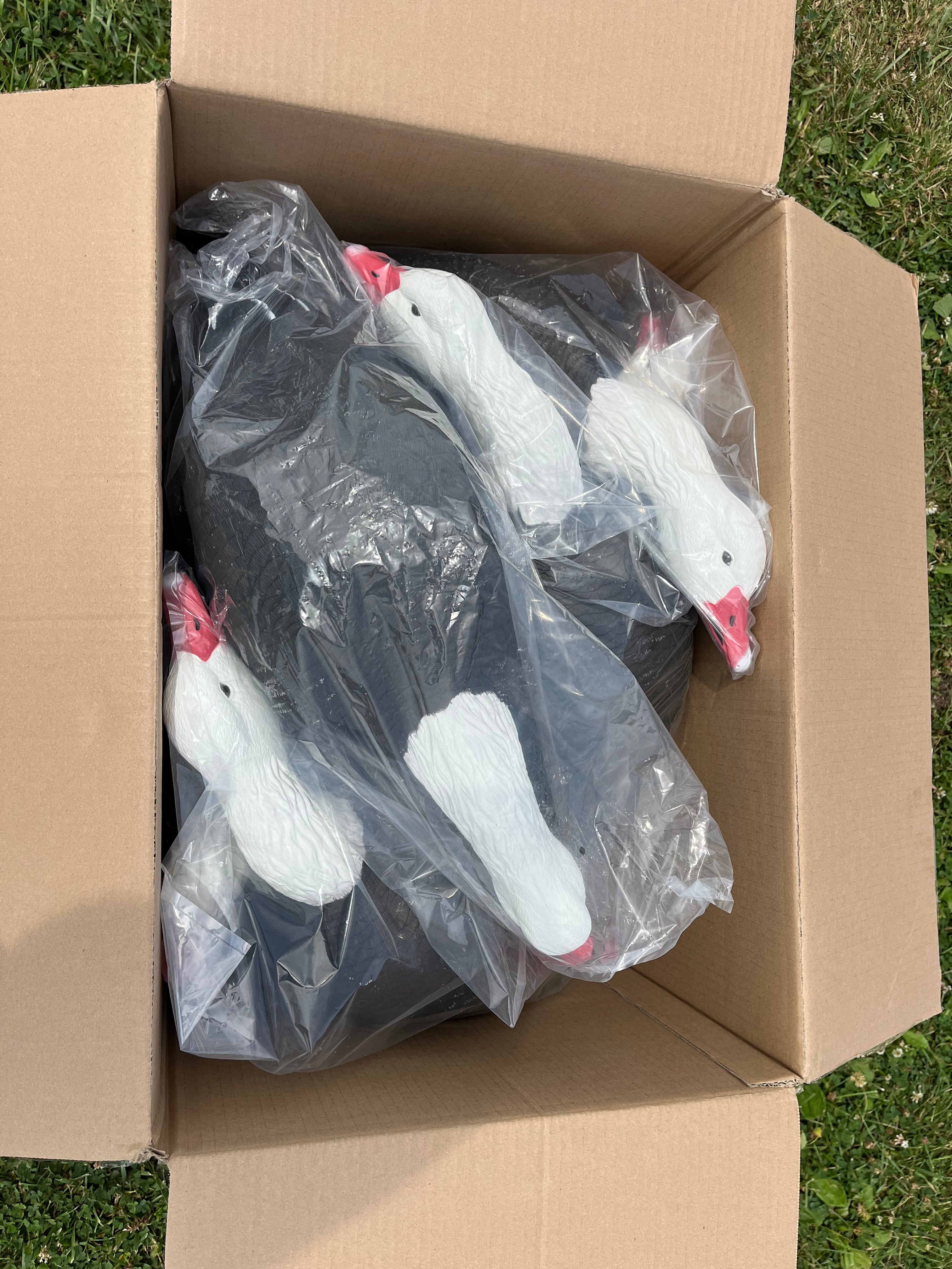 Full Body Blue Goose Decoys "PE Plastic" (hard body) - "Per 6-Pack"