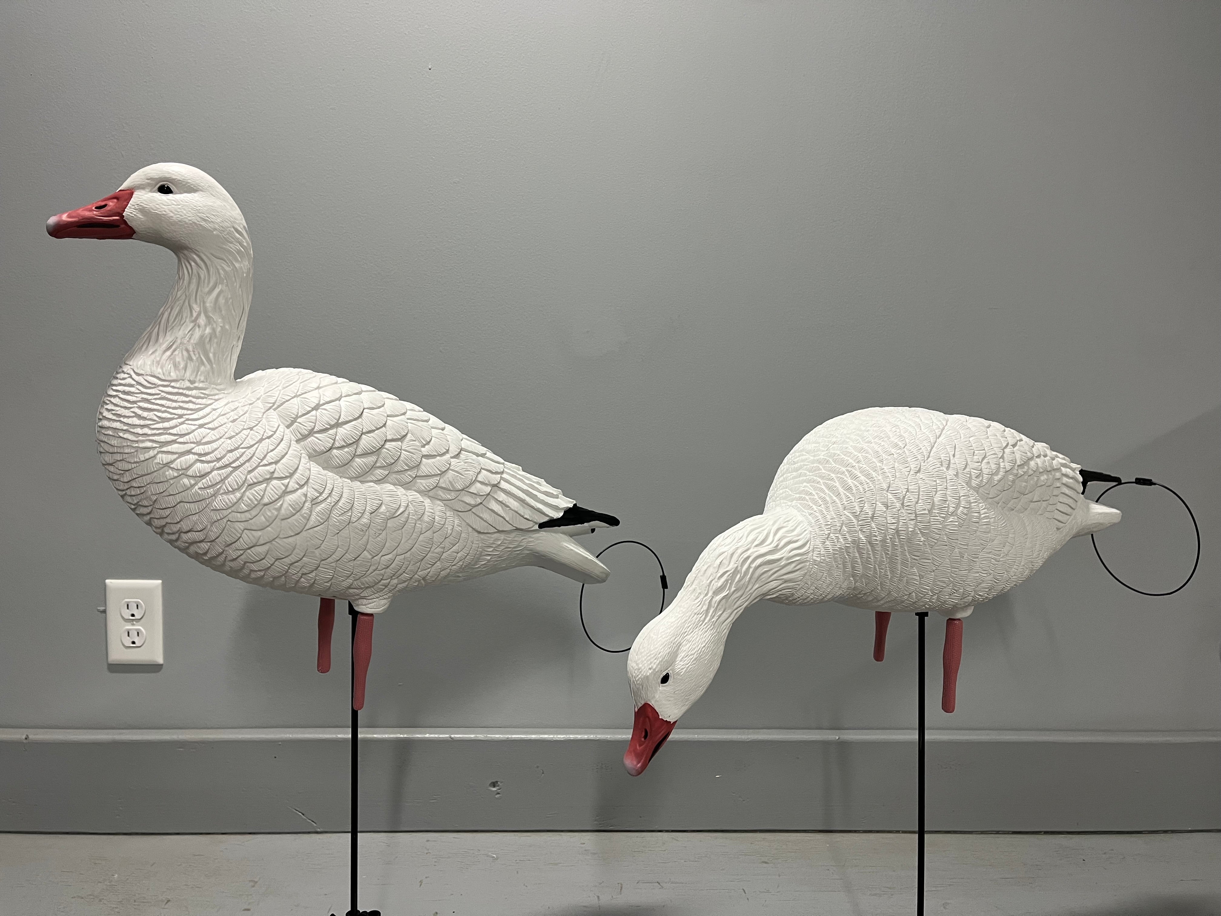 Full Body Snow Goose Decoys "PE Plastic" (hard body) - “Per 6-Pack”