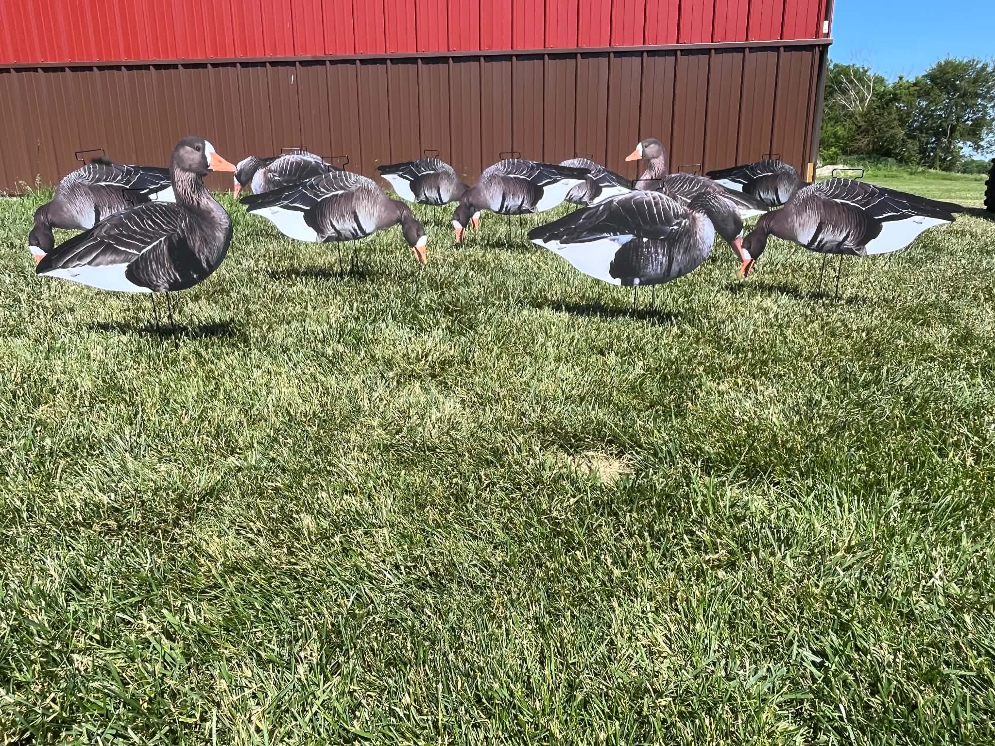 Specklebelly Goose Silhouette Decoys - "Per Dozen"