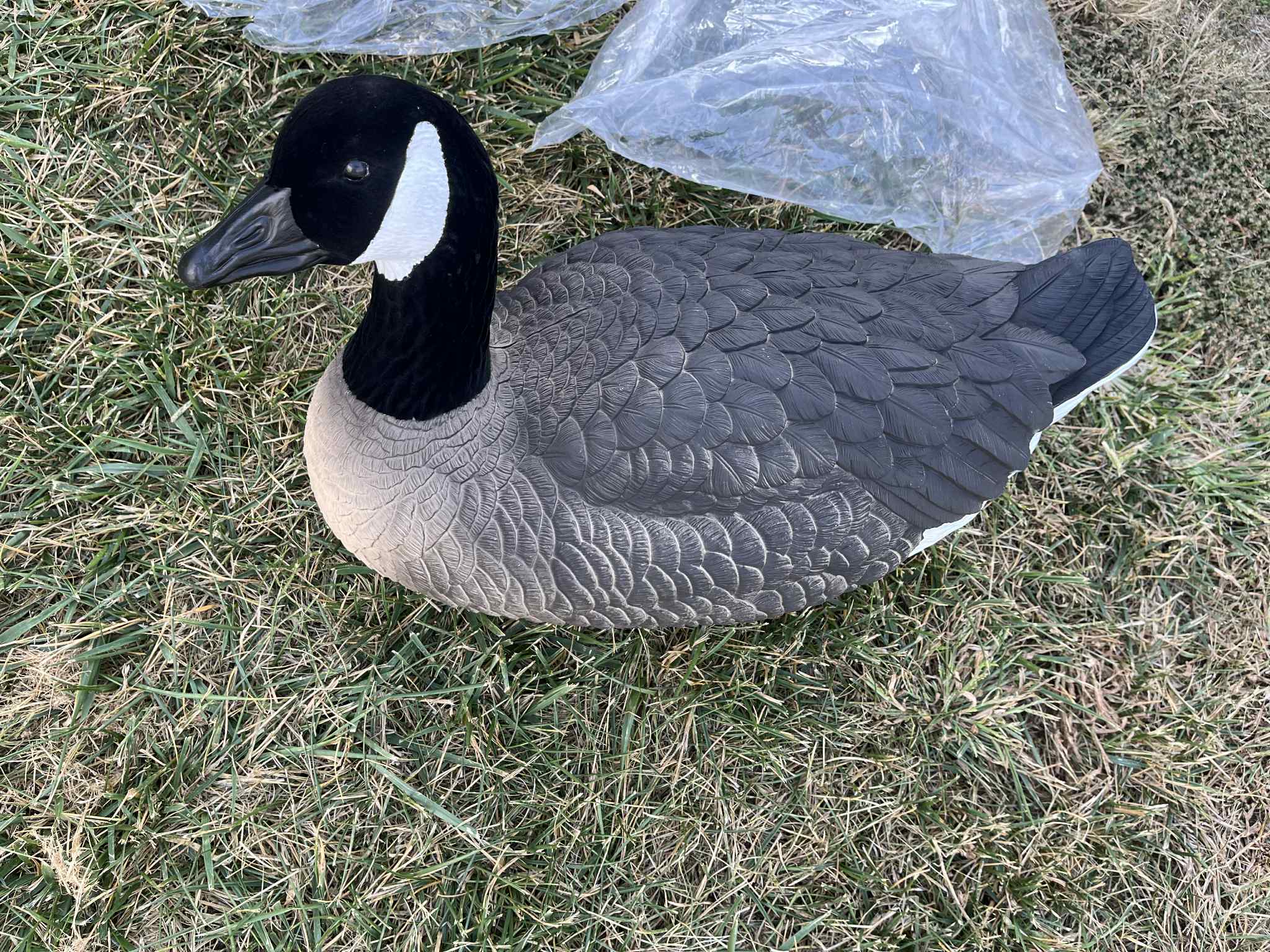 Canada Goose Floater Decoys with Flocked Heads "PE Plastic" (hard body) "Per 6-Pack"