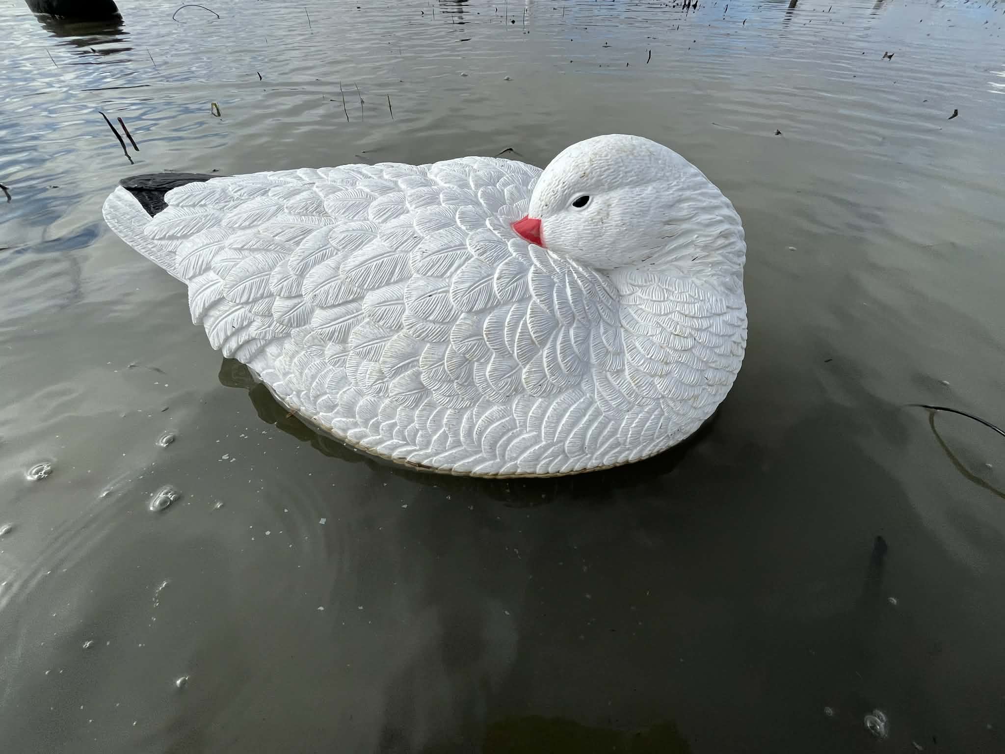 Snow Goose Sleeper Floater Decoys "PE Plastic" (hard body) "6-Pack"