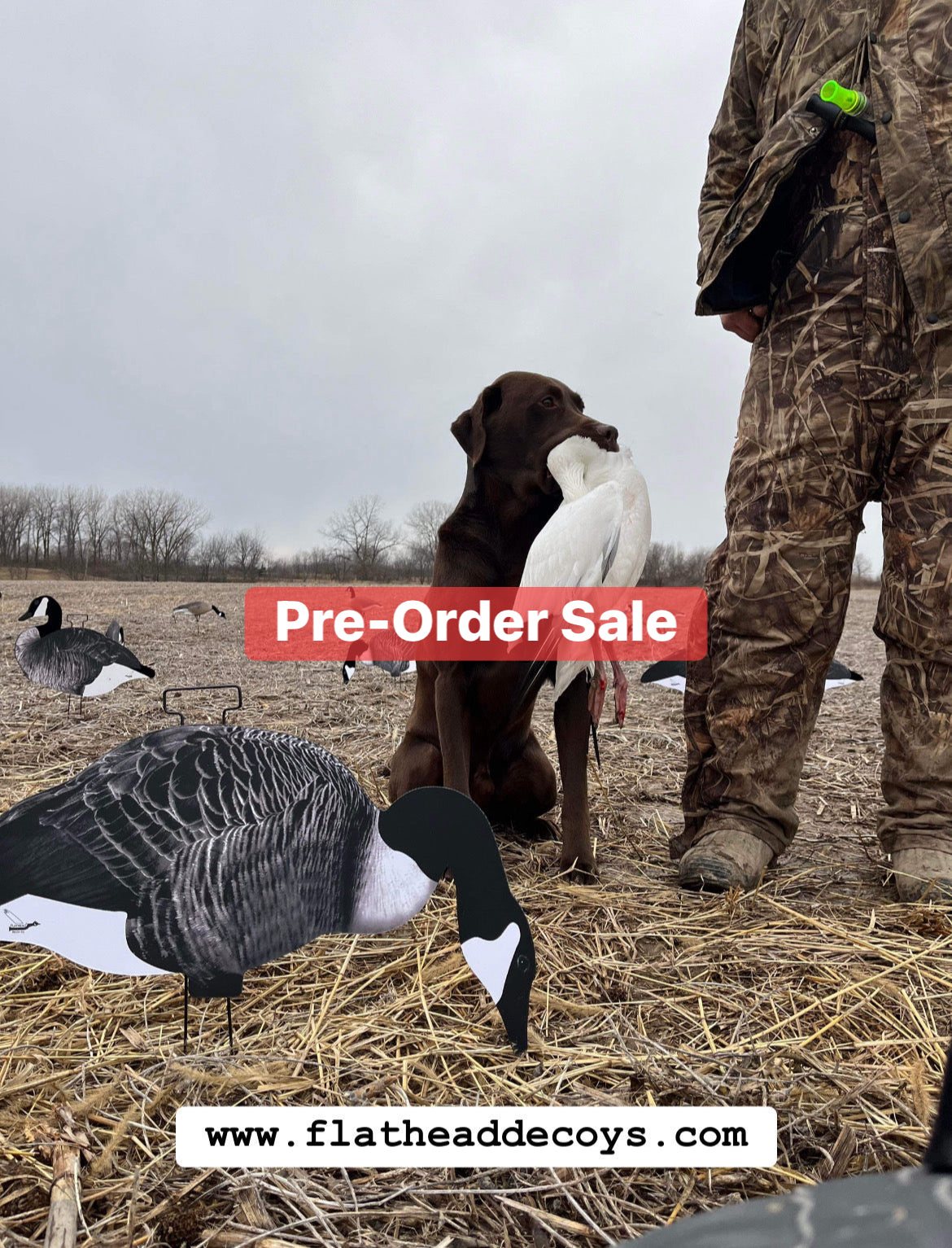 *Pre-Order* Canada Goose Silhouette Decoys - "Per Dozen"