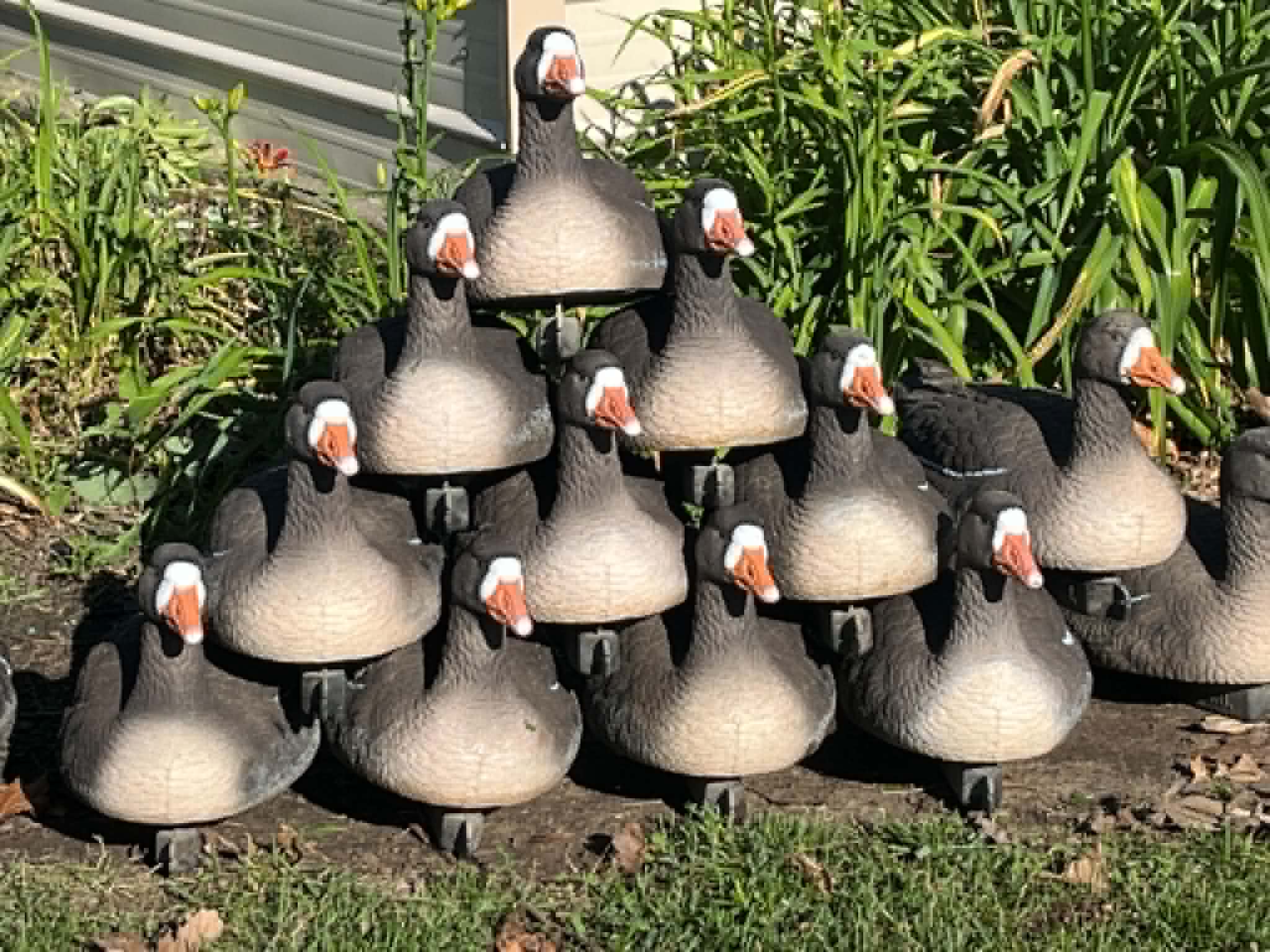 (Bargin Blind) Specklebelly Goose Floater Decoys "PE Plastic" (hard body) "Per 6-Pack"