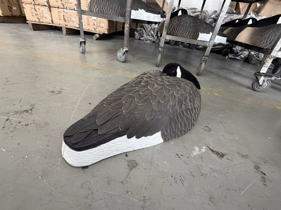 *PRE-ORDER SALE* Canada Goose Sleeper Shells "Per 6-Pack"