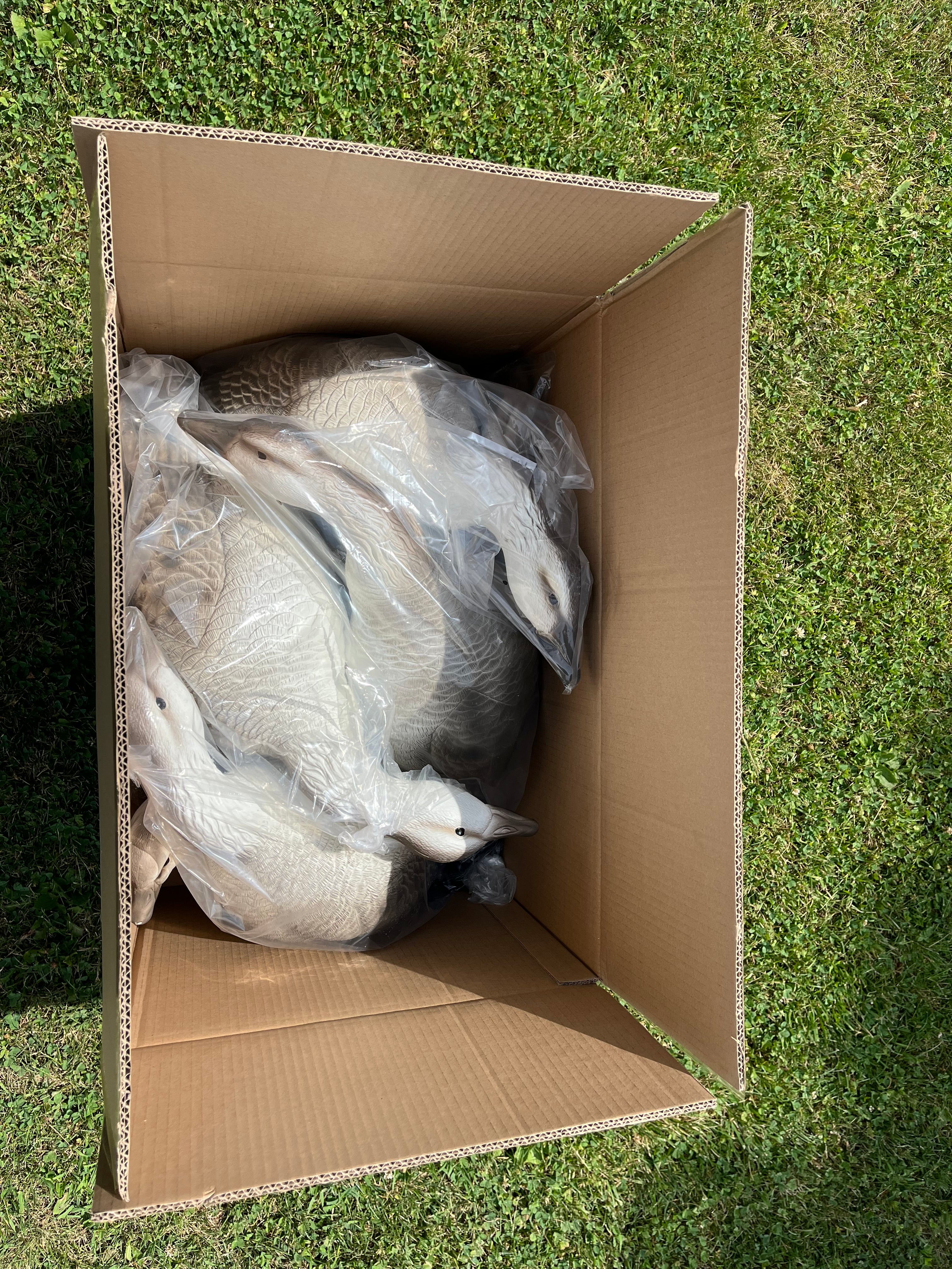 Full Body Snow Juvie Goose Decoys "PE Plastic" (hard body) - "Per 6-Pack"
