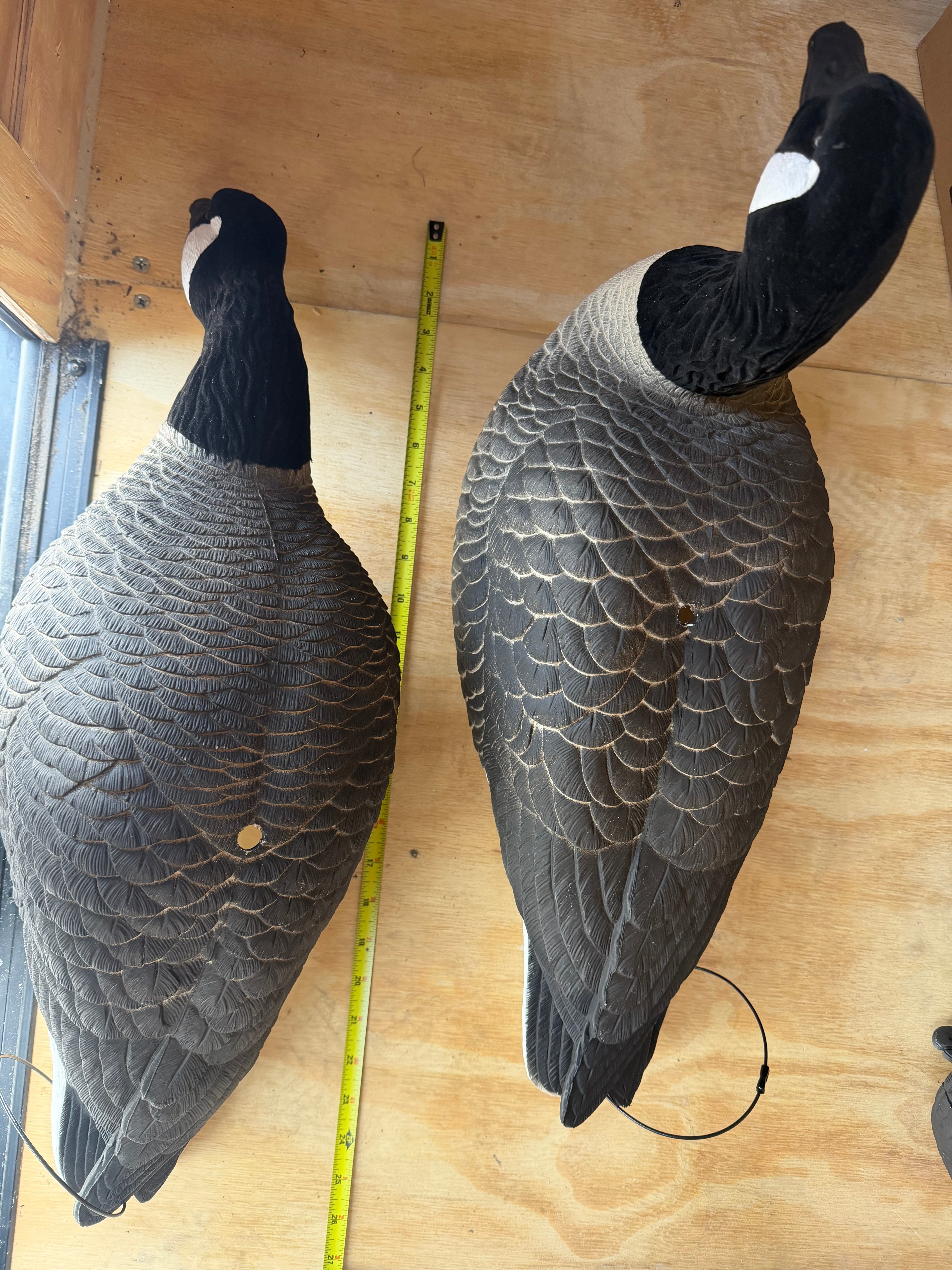 Full Body Canada Goose “Lesser” Decoys "EVA Plastic" (flexible body) - ”Per Dozen"