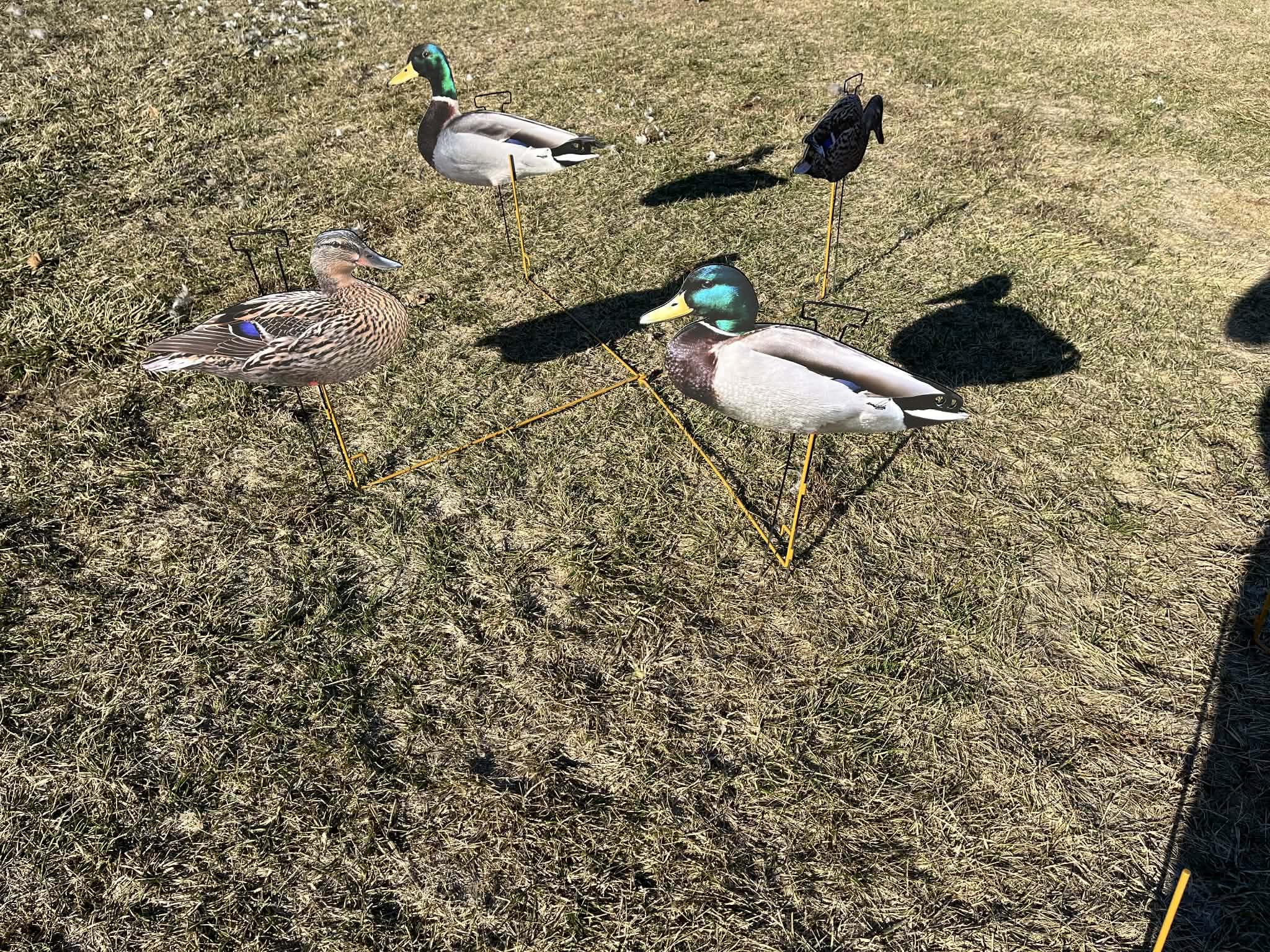 RAPID RACK - Decoy Deployment System (3-Pack - holds 12 decoys)