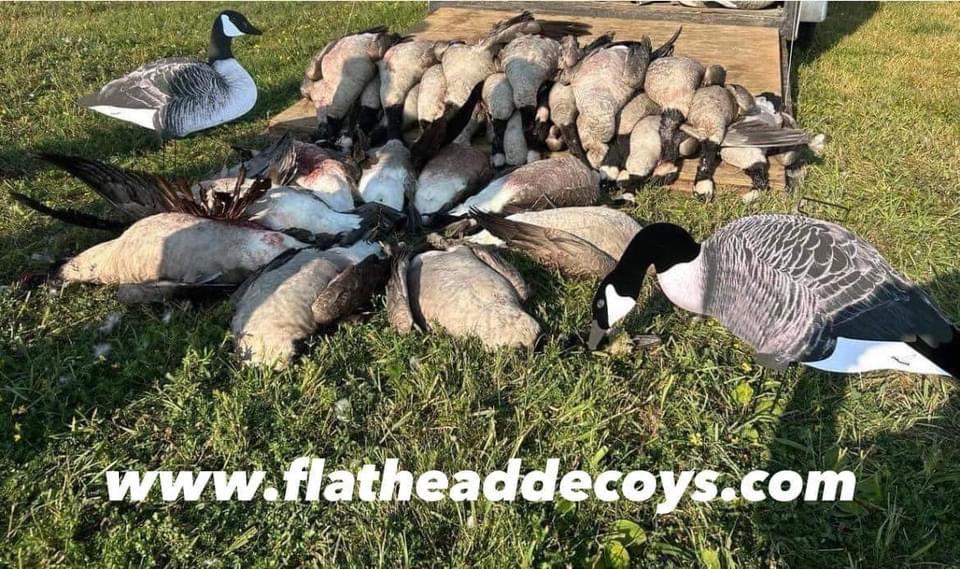 Canada Goose Silhouette Decoys w/Flocked Head and Tail - "Per Dozen"