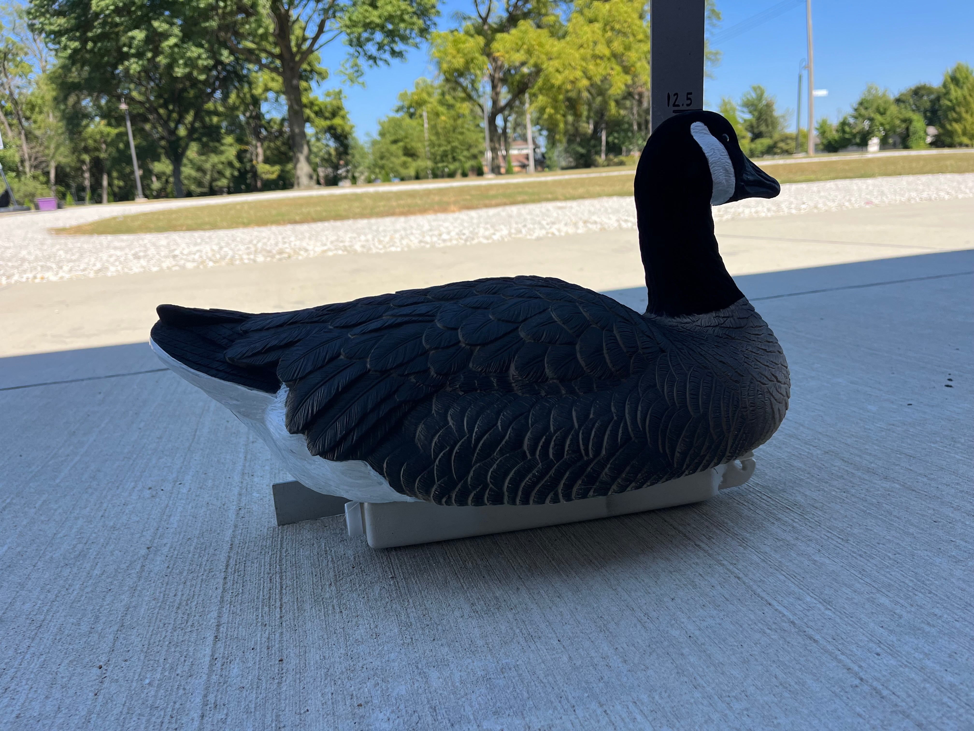 Canada Goose Floater Decoys with Flocked Heads "PE Plastic" (hard body) "Per 6-Pack"