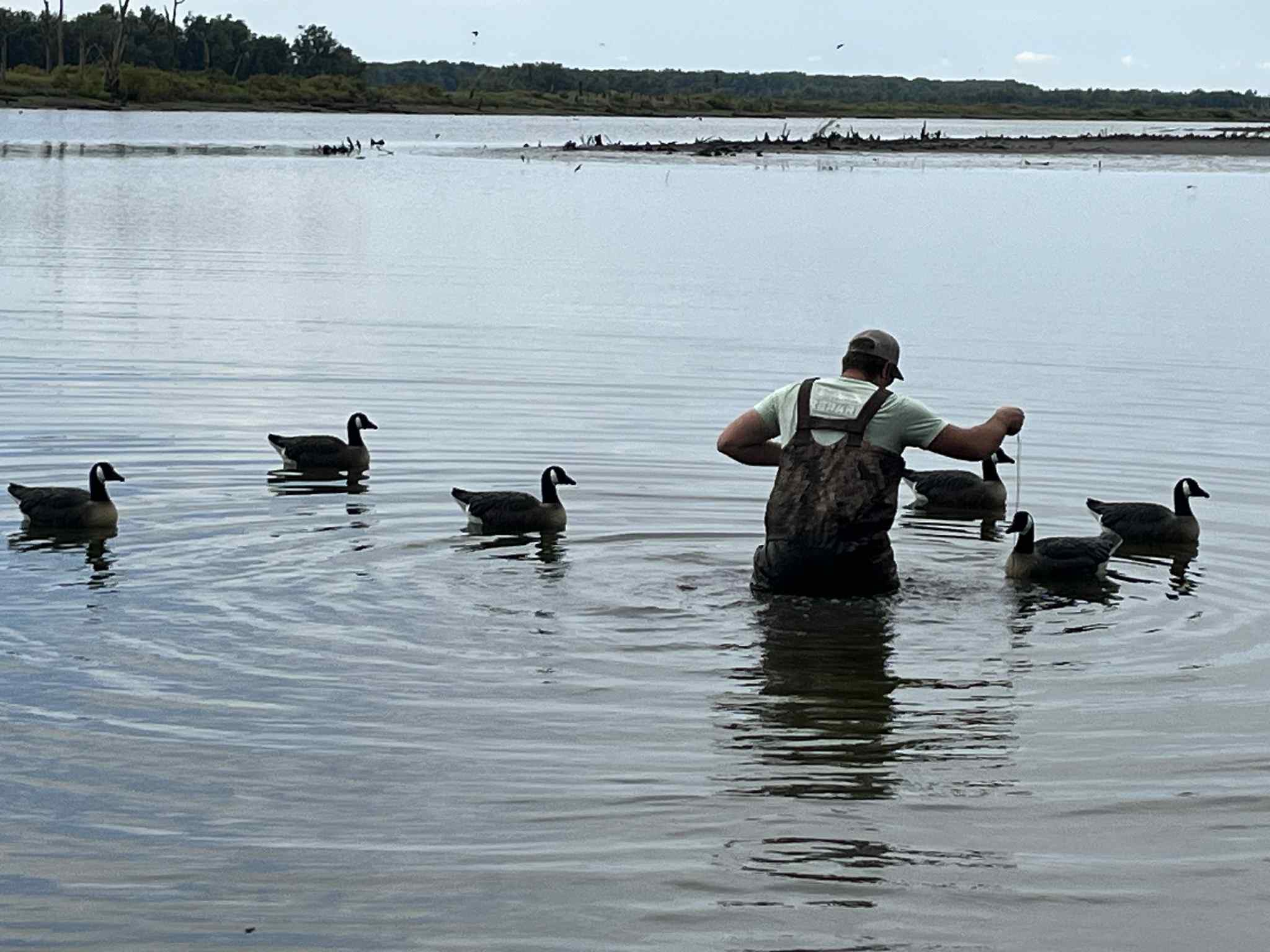 "Pre-Order Sale" Canada Goose Floater Decoys with Flocked Heads "PE Plastic" (hard body) "Per 6-Pack"