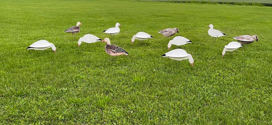 "Illusion Series" Snow Goose Silhouette Decoys - "Per Dozen"