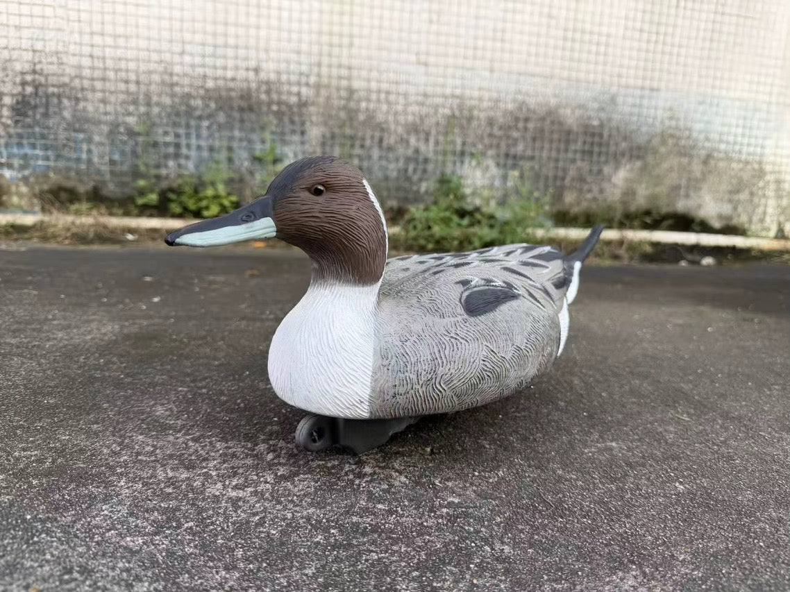 "Pre-Order Sale" Oversized Drake Pintail Duck - Floater Decoys “Per-Dozen”