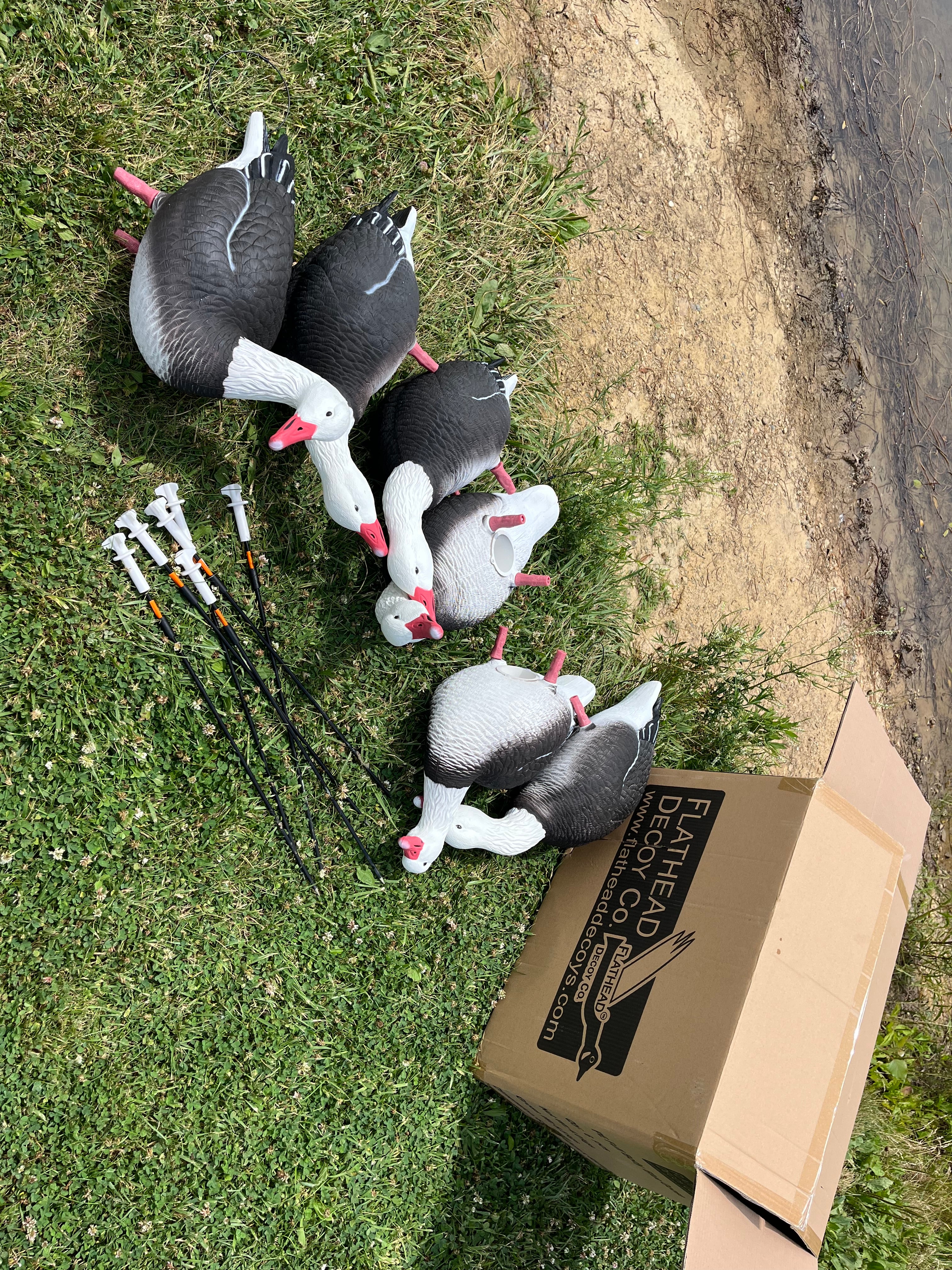 Full Body Blue Goose Decoys "PE Plastic" (hard body) - "Per 6-Pack"