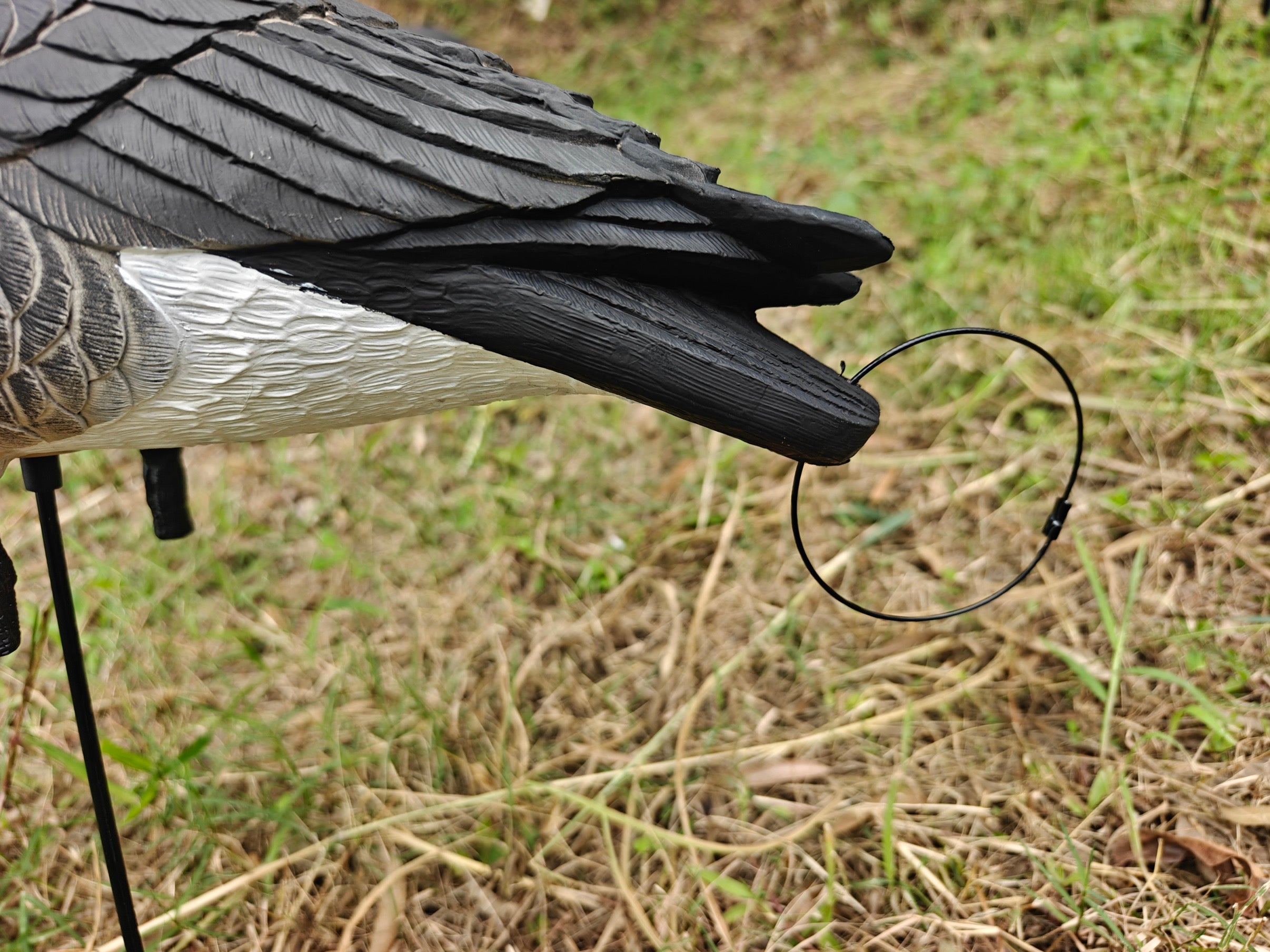 Full Body "Lesser" Canada Goose Decoys "PE Plastic" (hard body) - "Per 6-Pack"