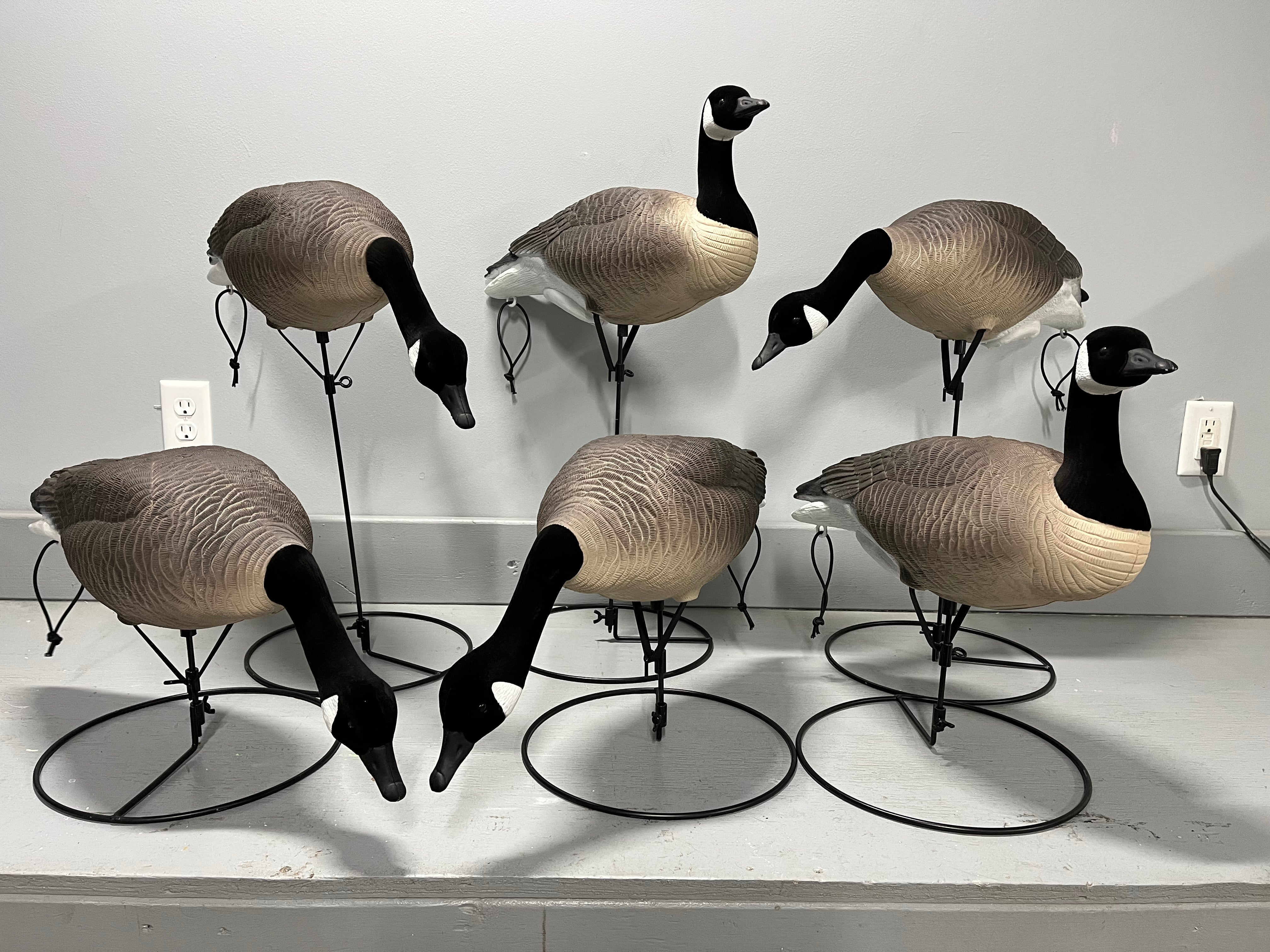 Full Body Canada Goose Decoys "PE PLASTIC" with Ring Bases - "Per 6-Pa