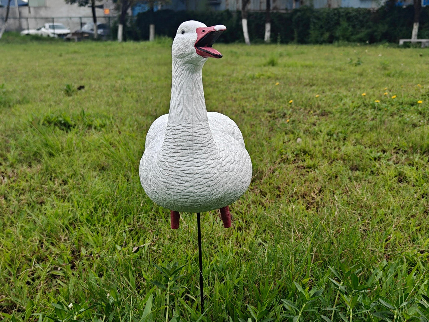 Full Body "Open Mouth" Snow Goose Decoys "PE Plastic" (hard body) - "Per 4-Pack"