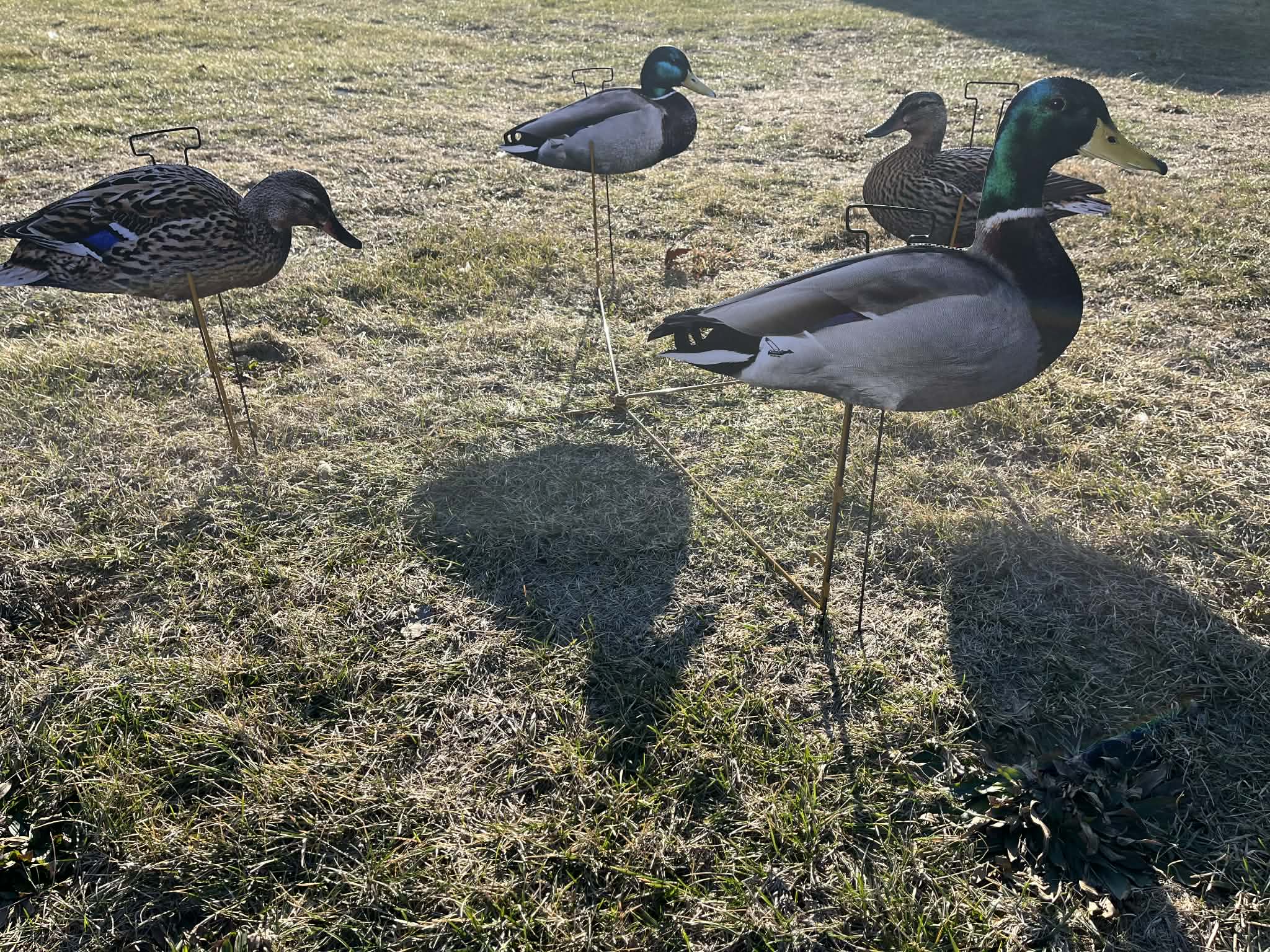 RAPID RACK - Decoy Deployment System (3-Pack - holds 12 decoys)