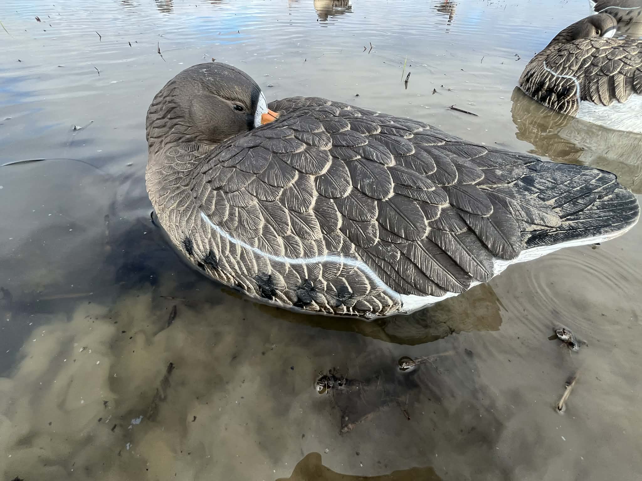 Specklebelly Goose Sleeper Floater Decoy "PE Plastic" (hard body) “Per 6-Pack”
