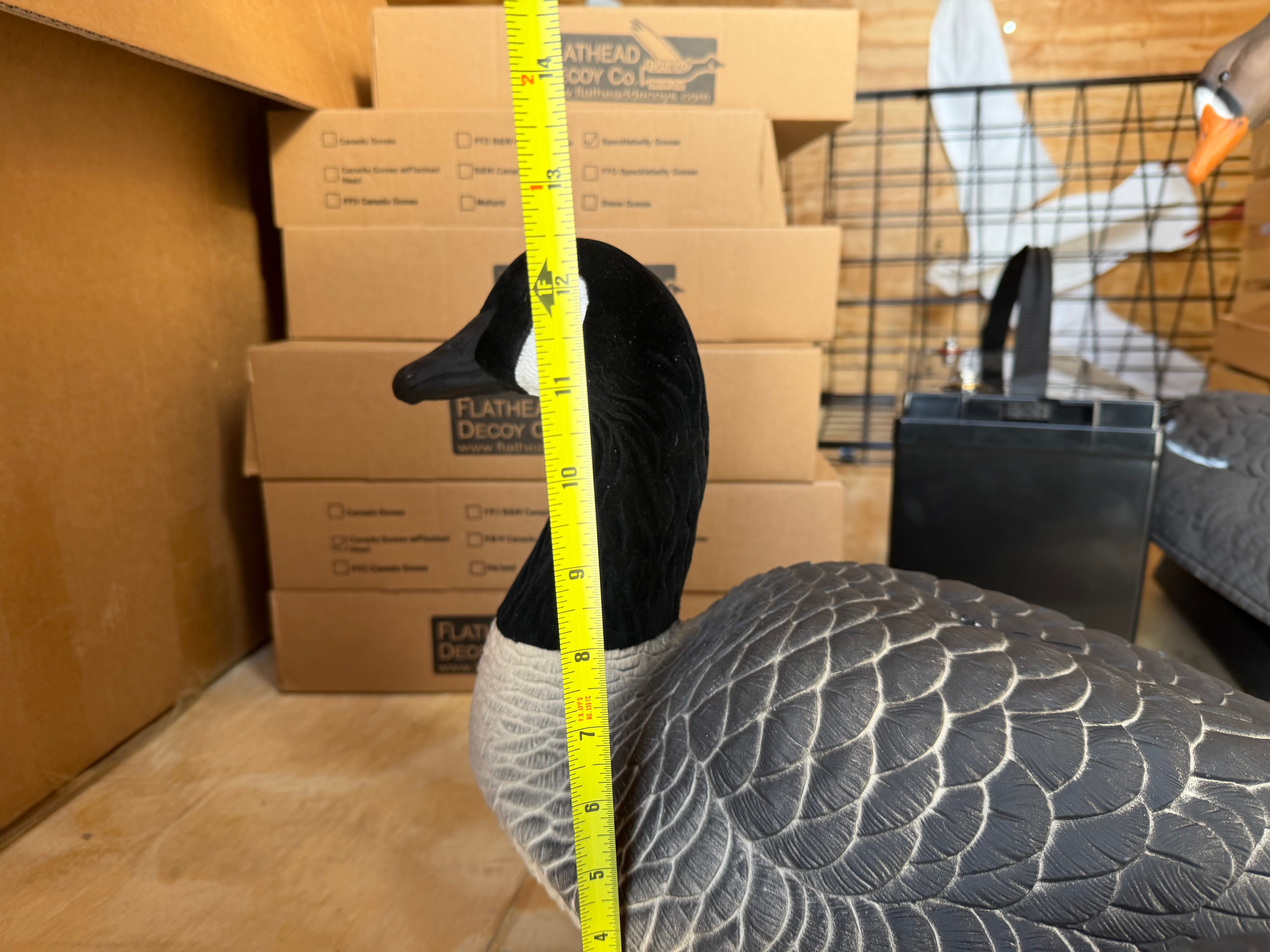 Full Body Canada Goose “Lesser” Decoys "EVA Plastic" (flexible body) - ”Per Dozen"