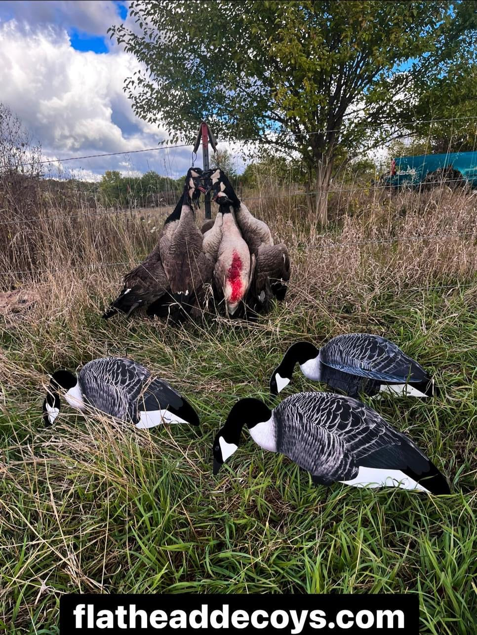 Canada Goose Silhouette Decoys w/Flocked Head and Tail - "Per Dozen"