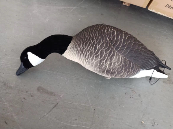 Full Body Canada Goose “Lesser” Decoys "EVA Plastic" (flexible body) - ”Per Dozen"