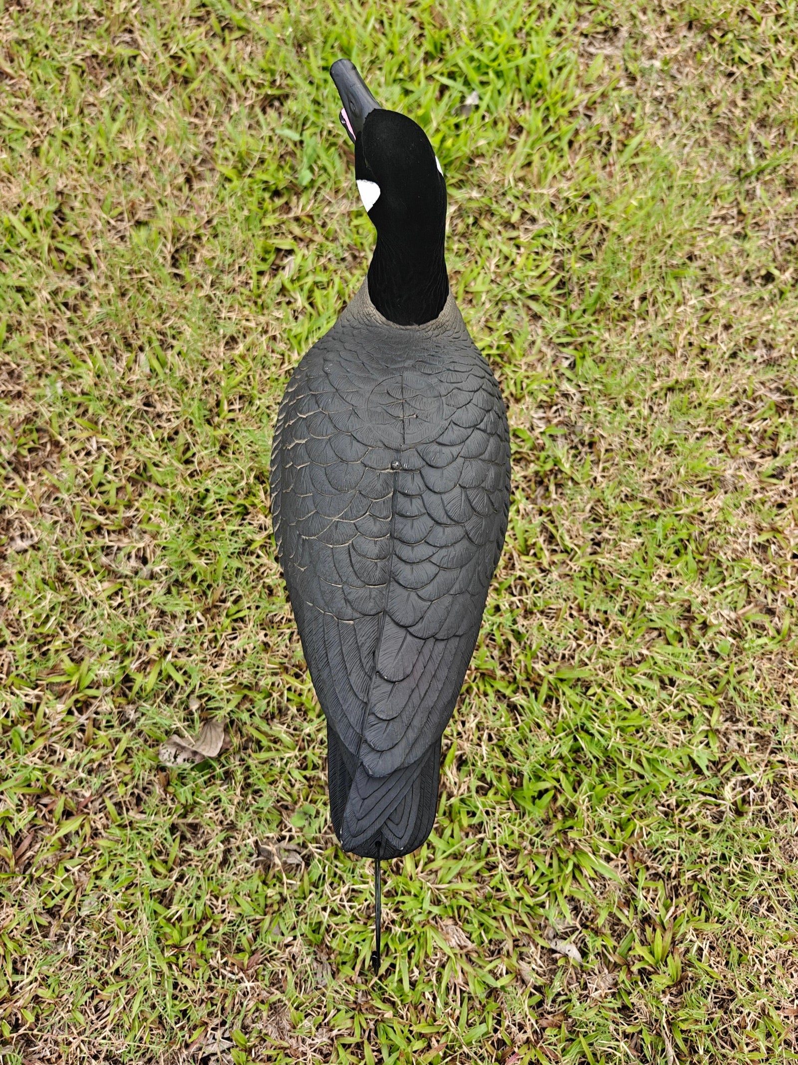 Full Body "Open Mouth" Lesser Canada Goose Decoys "PE Plastic" (hard body) - "Per 4-Pack"