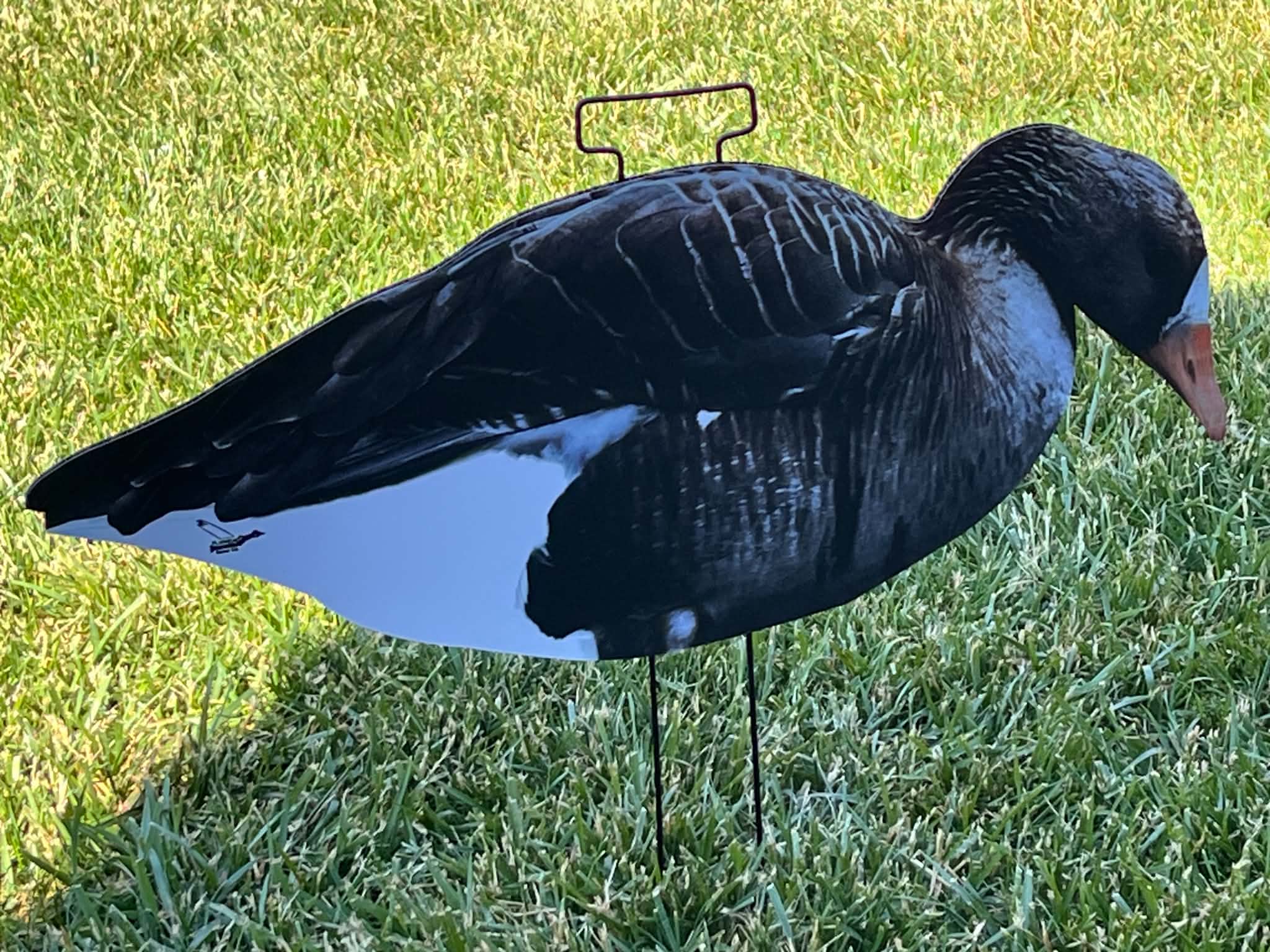 Specklebelly Goose Silhouette Decoys - "Per Dozen"