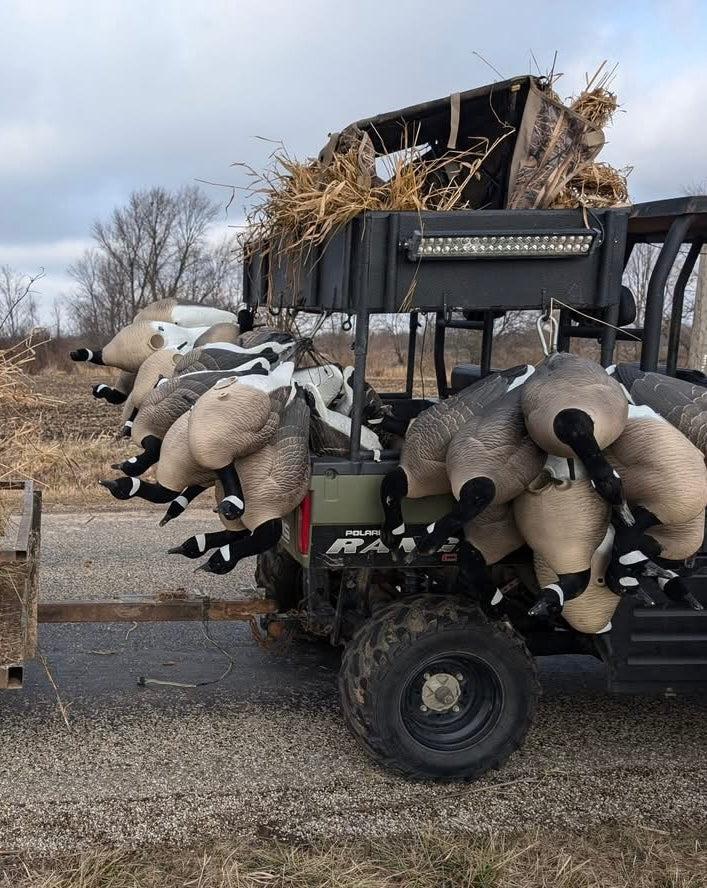 * Pre-Order Sale * Full Body "Magnum" Canada Goose Decoys "PE Plastic" with Flocked Heads. - "Per 6-Pack"