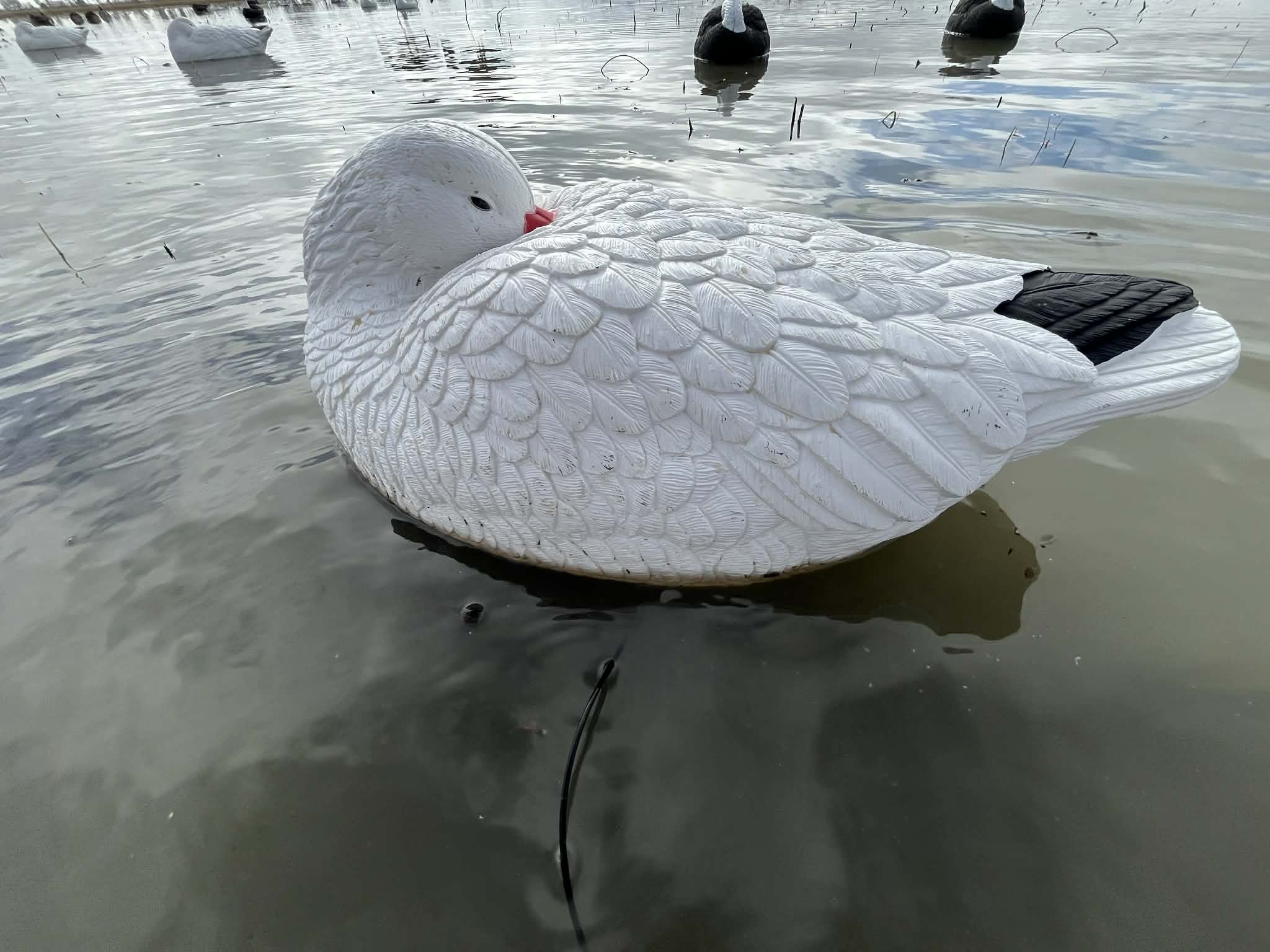 Snow Goose Sleeper Floater Decoys "PE Plastic" (hard body) "6-Pack"