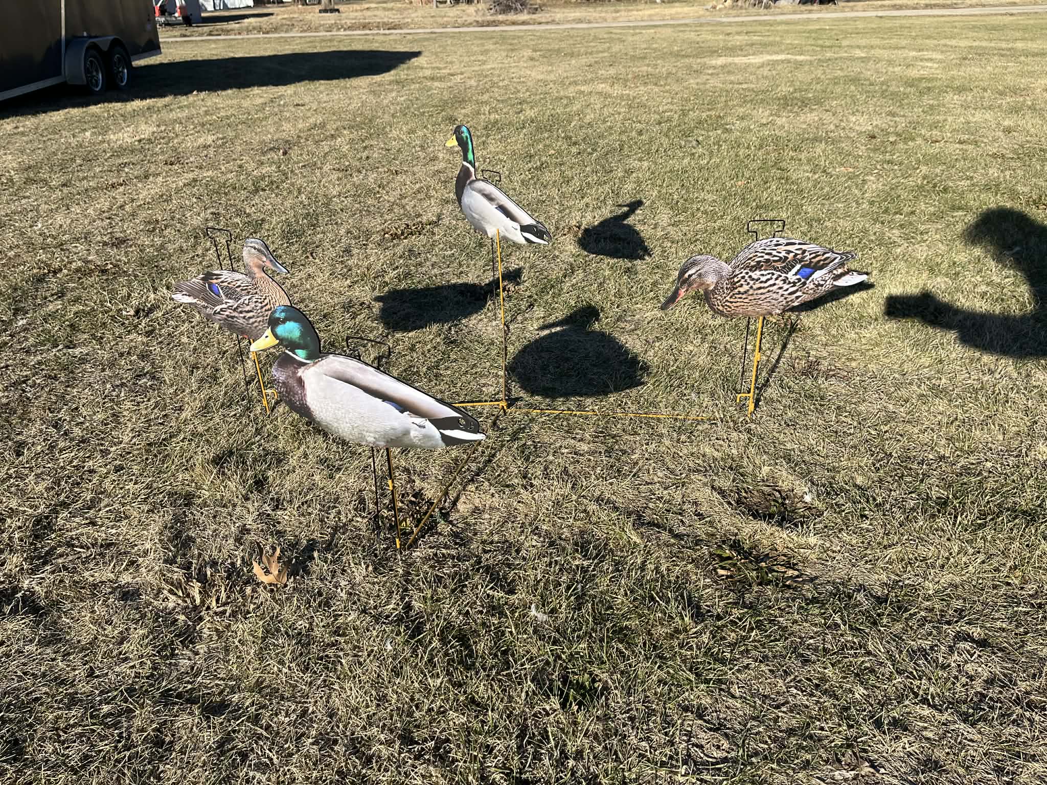 RAPID RACK - Decoy Deployment System (3-Pack - holds 12 decoys)