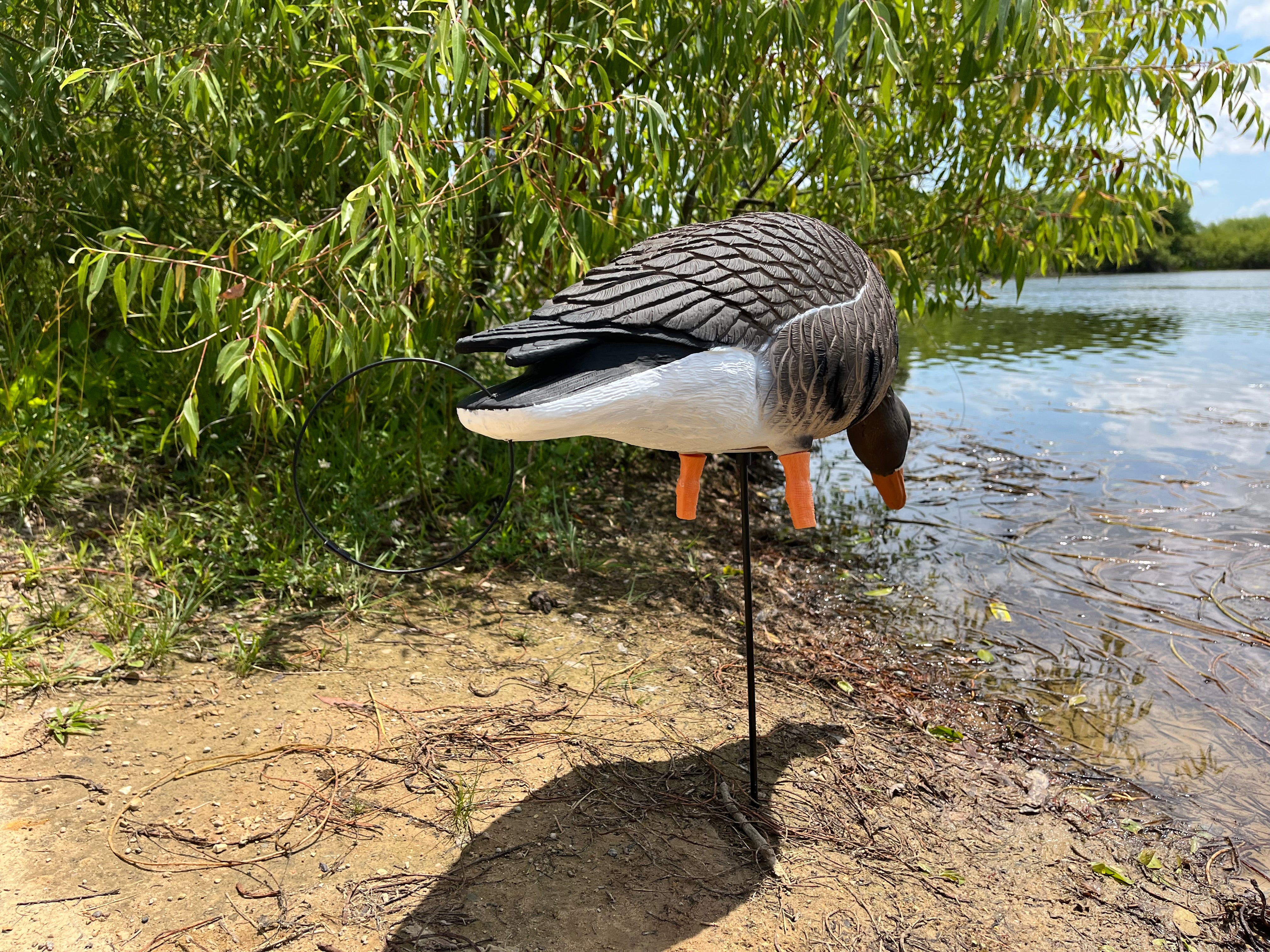 Full Body Specklebelly Goose Decoys "PE PLASTIC" with 14” Square Bases - "Per 6-Pack"