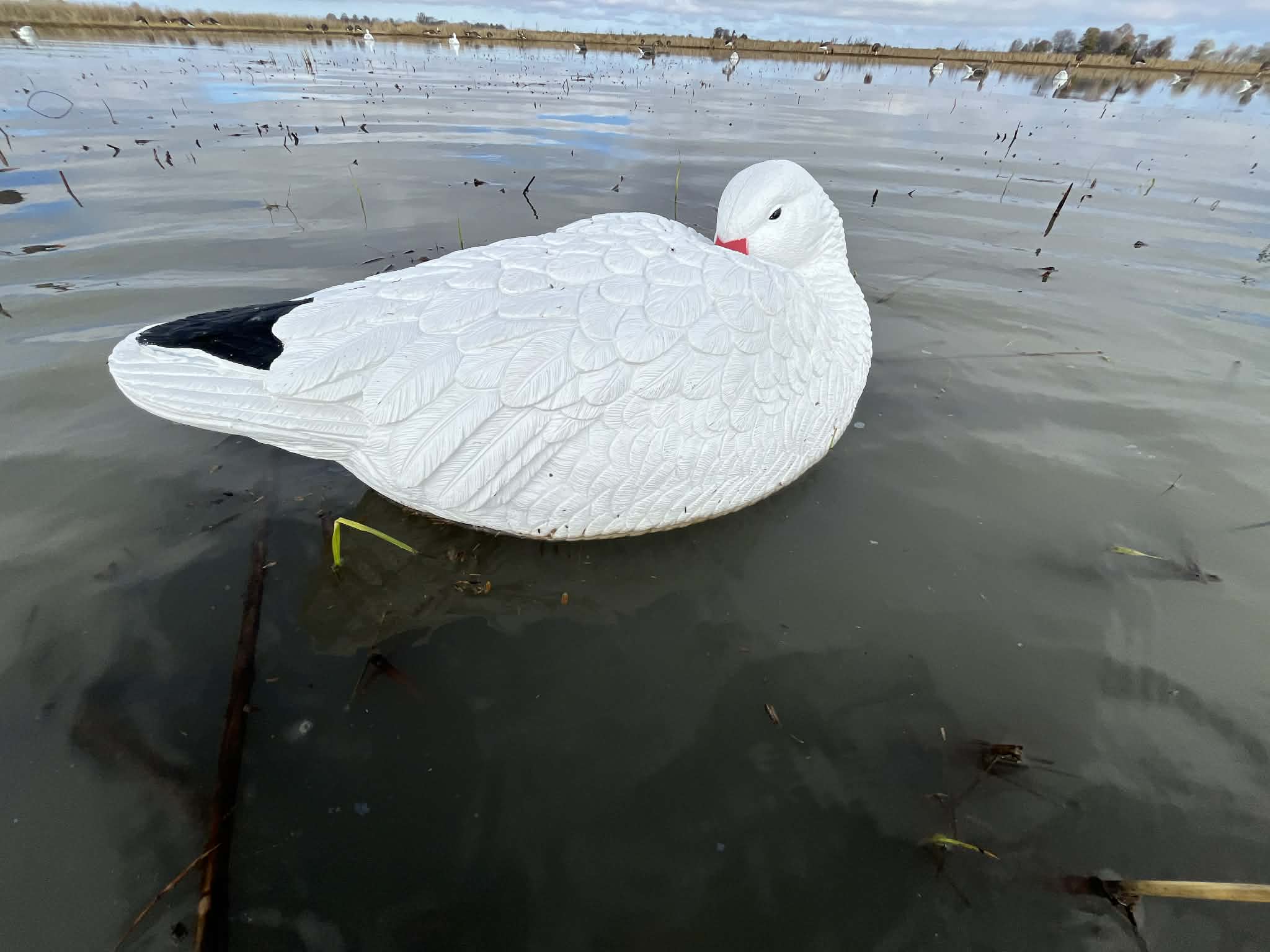 Snow Goose Sleeper Floater Decoys "PE Plastic" (hard body) "6-Pack"