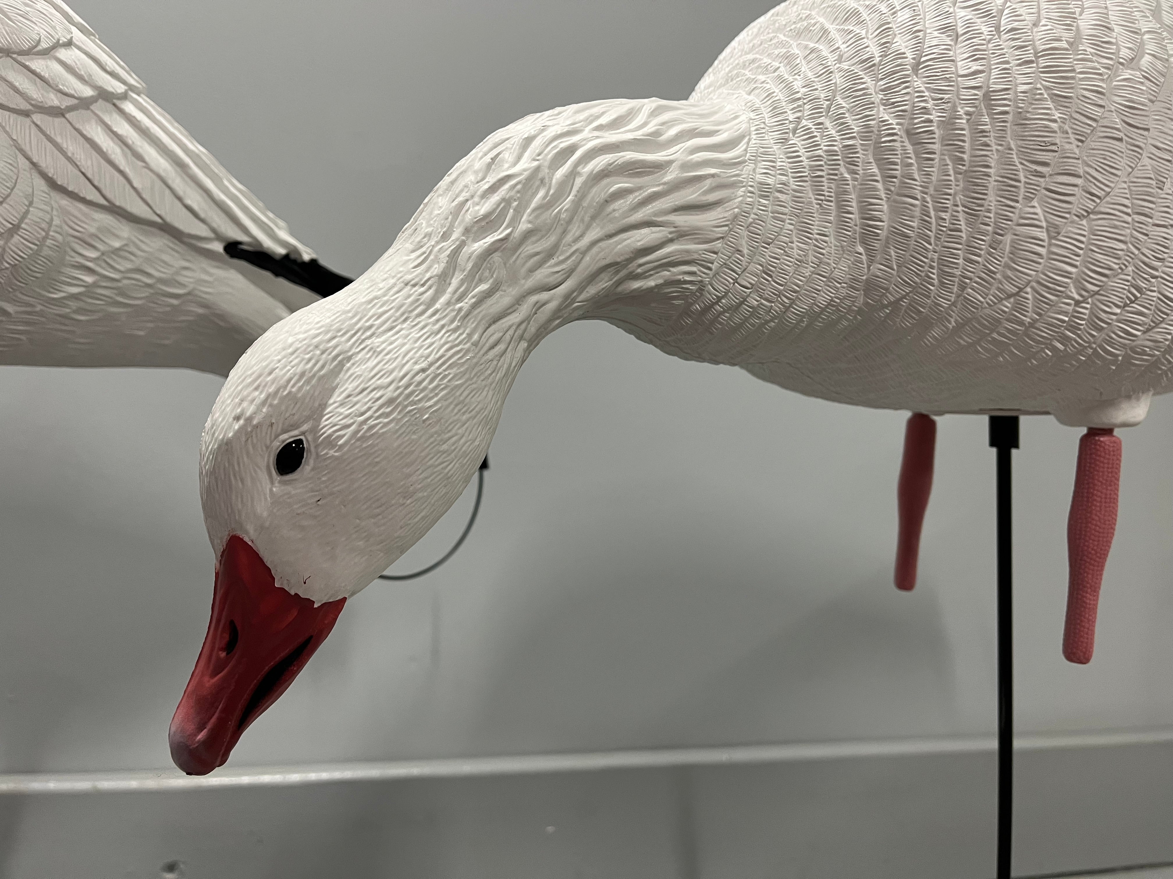 Full Body Snow Goose Decoys "PE PLASTIC" (hard body) with Square Bases - "Per 6-Pack"