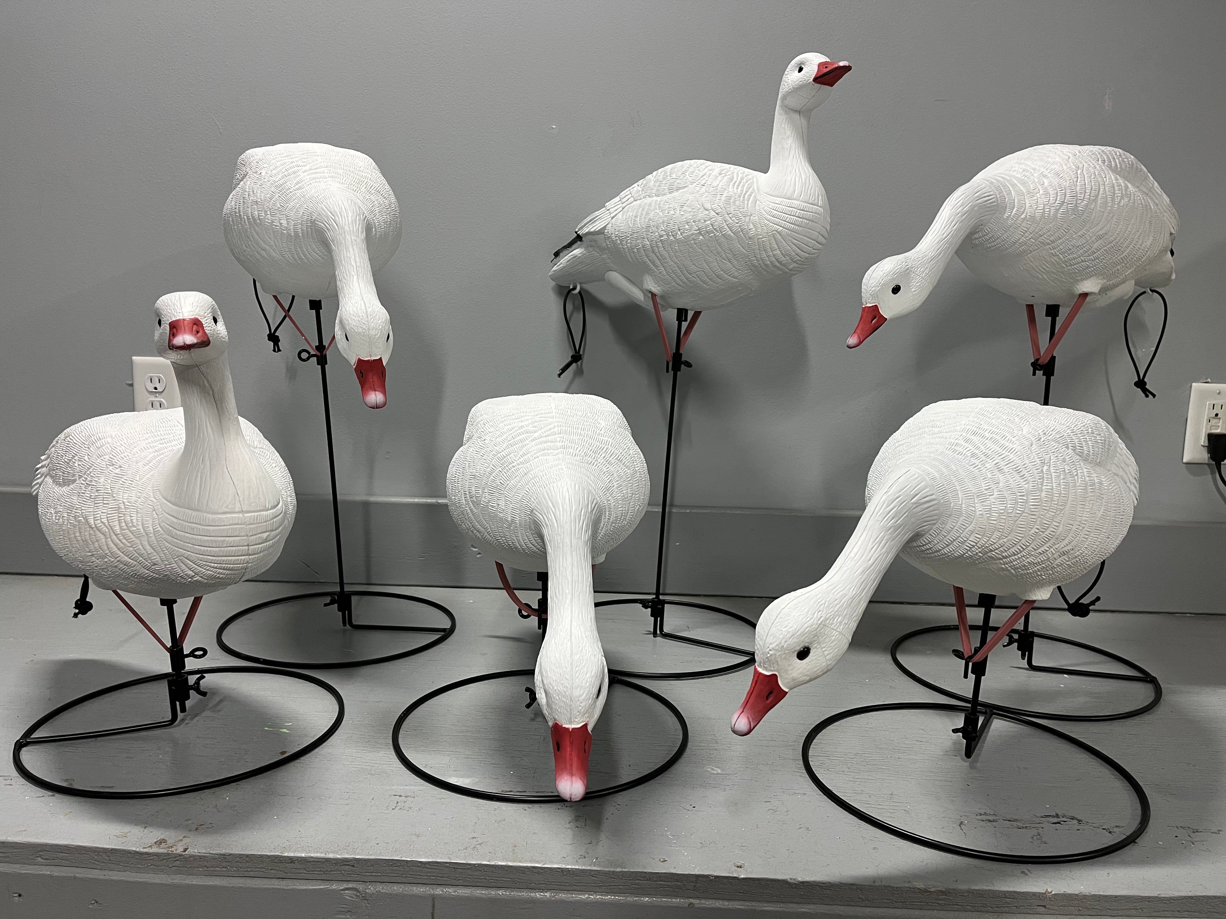 Full Body Snow Goose Decoys "PE PLASTIC" with Ring Bases - "Per 6-Pack