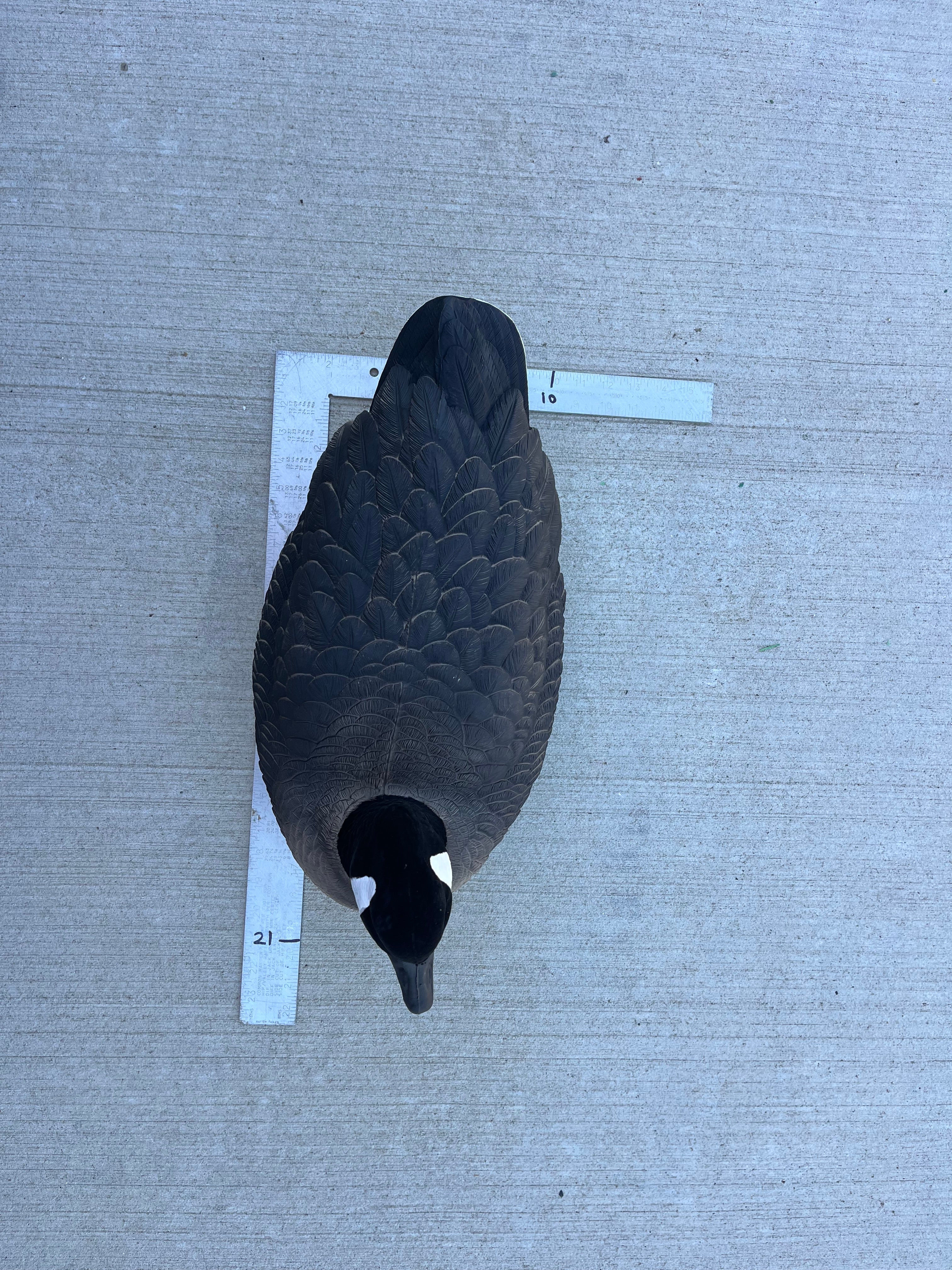 "Pre-Order Sale" Canada Goose Floater Decoys with Flocked Heads "PE Plastic" (hard body) "Per 6-Pack"