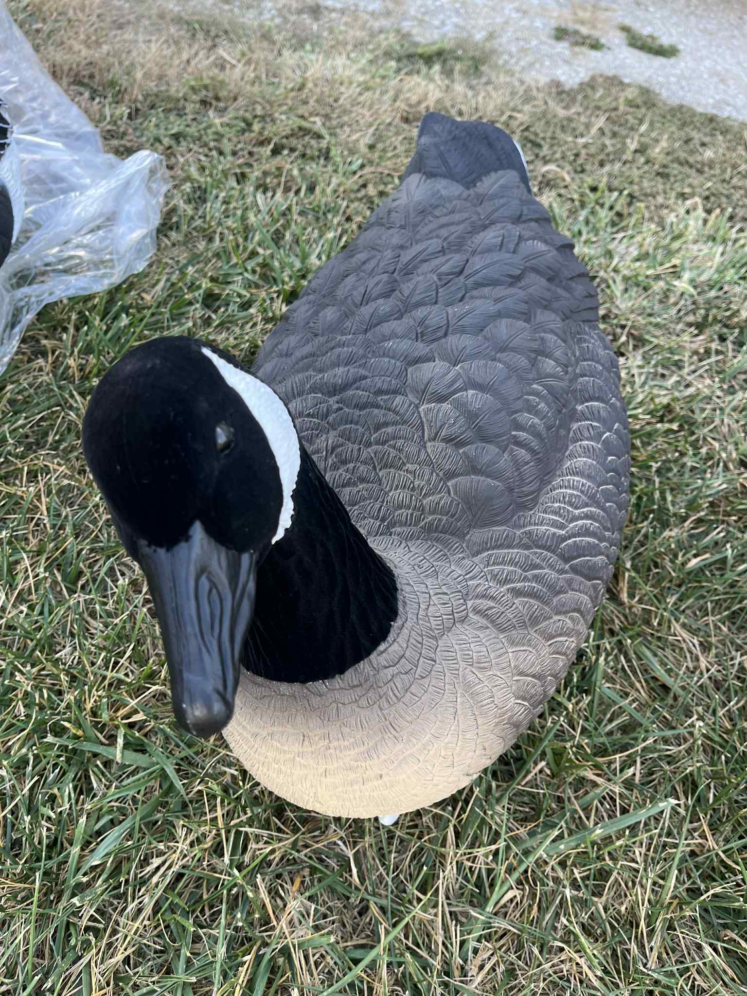 "Pre-Order Sale" Canada Goose Floater Decoys with Flocked Heads "PE Plastic" (hard body) "Per 6-Pack"
