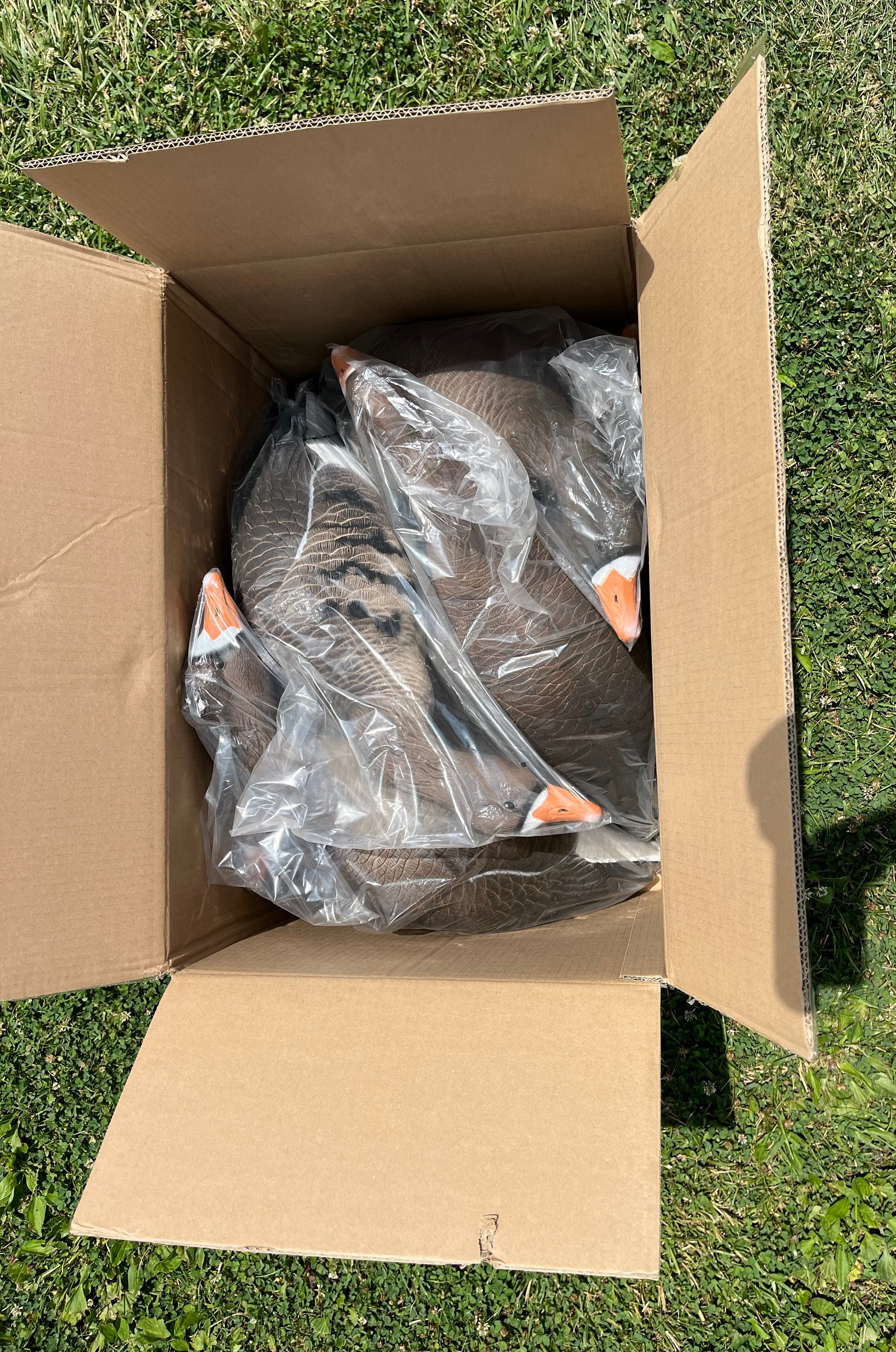 Full Body Specklebelly Goose Decoys "PE PLASTIC" with 14” Square Bases - "Per 6-Pack"