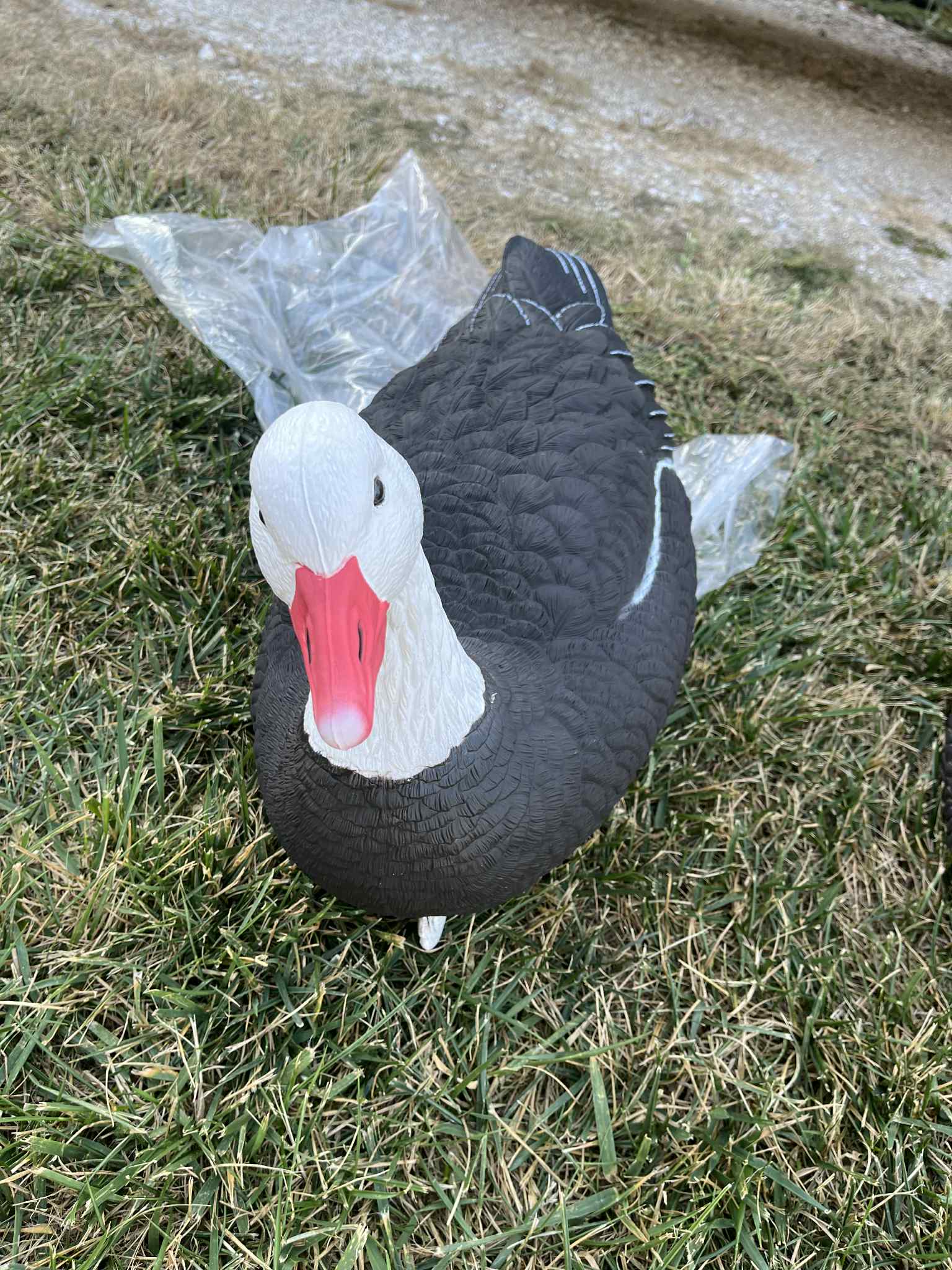 "Pre-Order Sale" Blue Goose Floater Decoys