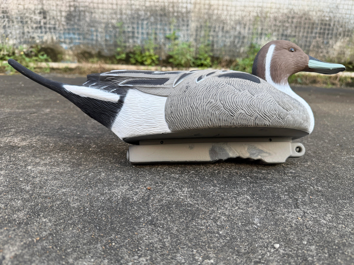"Pre-Order Sale" Oversized Drake Pintail Duck - Floater Decoys “Per-Dozen”