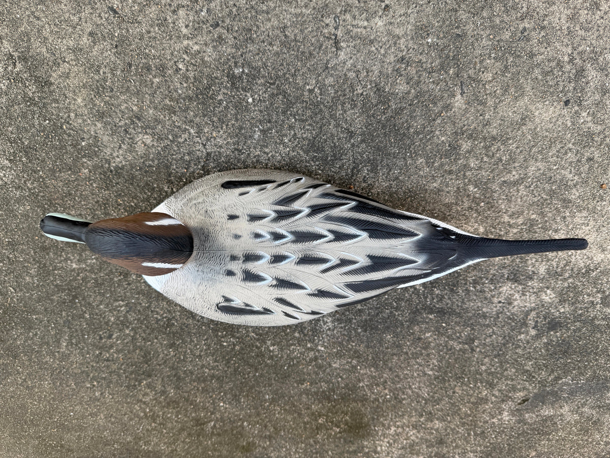 "Pre-Order Sale" Oversized Drake Pintail Duck - Floater Decoys “Per-Dozen”