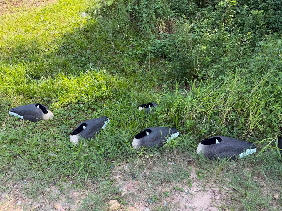 *PRE-ORDER SALE* Canada Goose Sleeper Shells "Per 6-Pack"