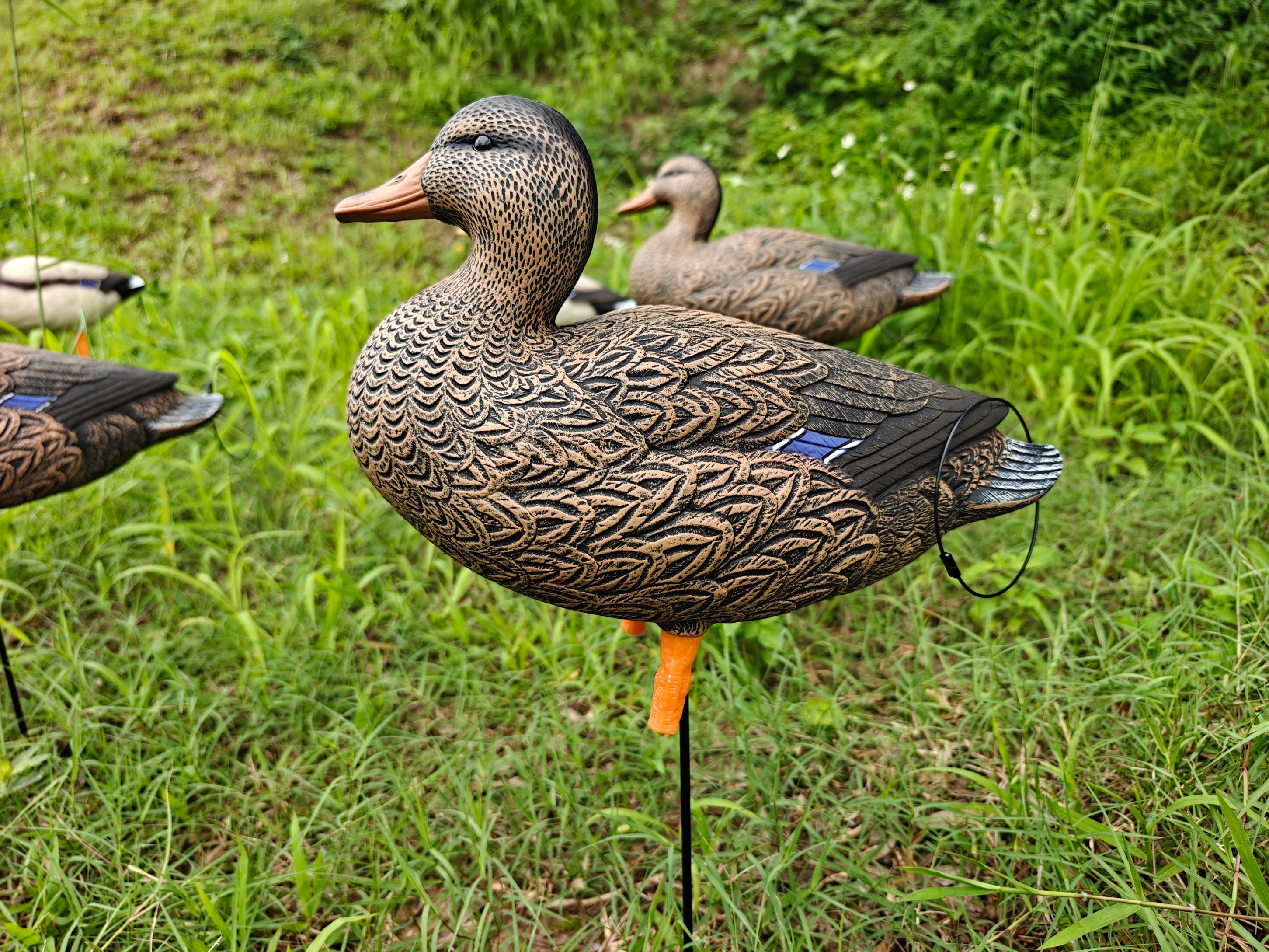 * PRE-ORDER SALE * "MAGNUM" Full Body Field Mallard Duck Decoys “PE Plastic” (hard body) FLOCKED HEADS ON DRAKES