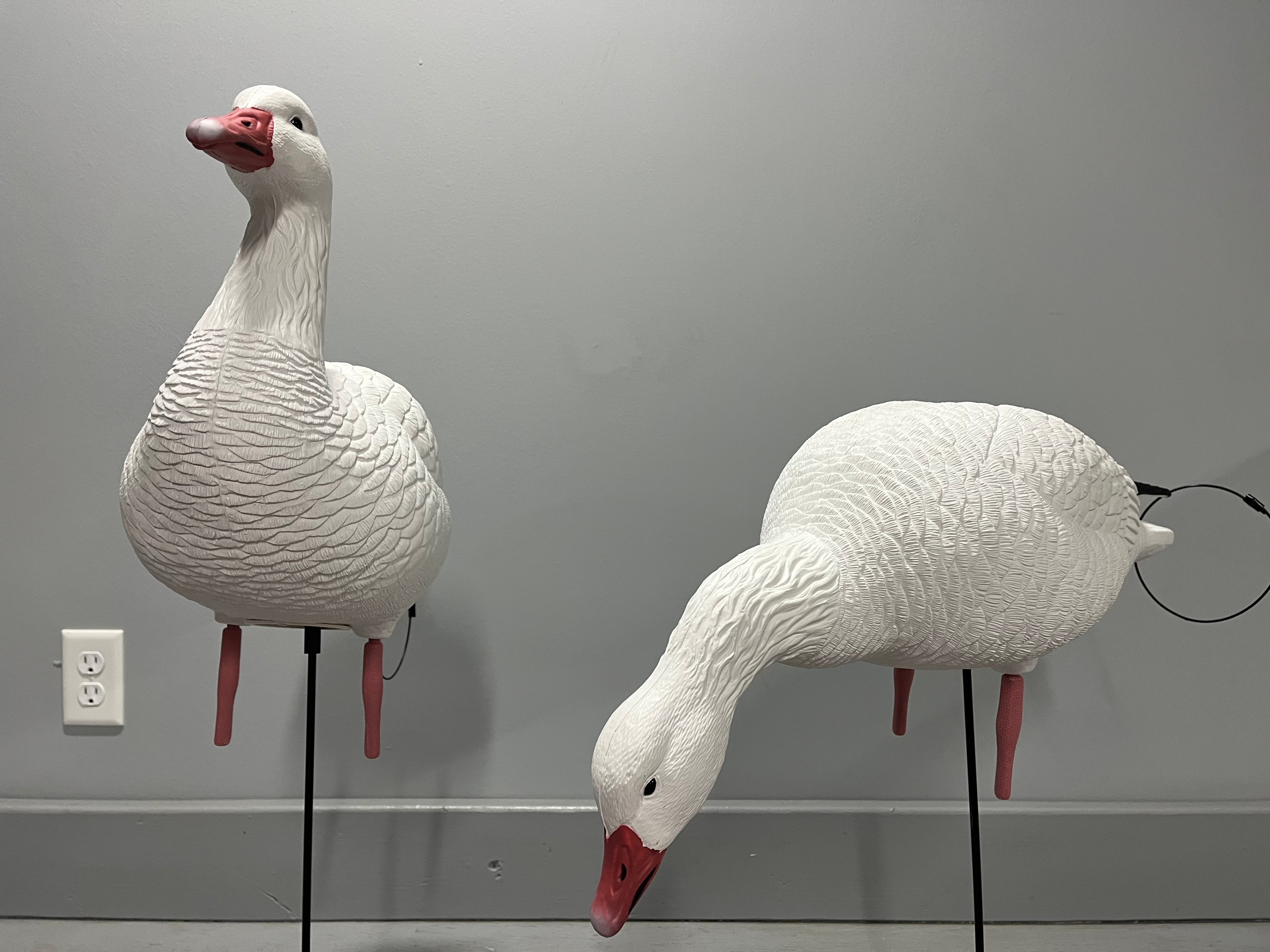 Full Body Snow Goose Decoys "PE Plastic" (hard body) with Square Bases - "Per 6-Pack"