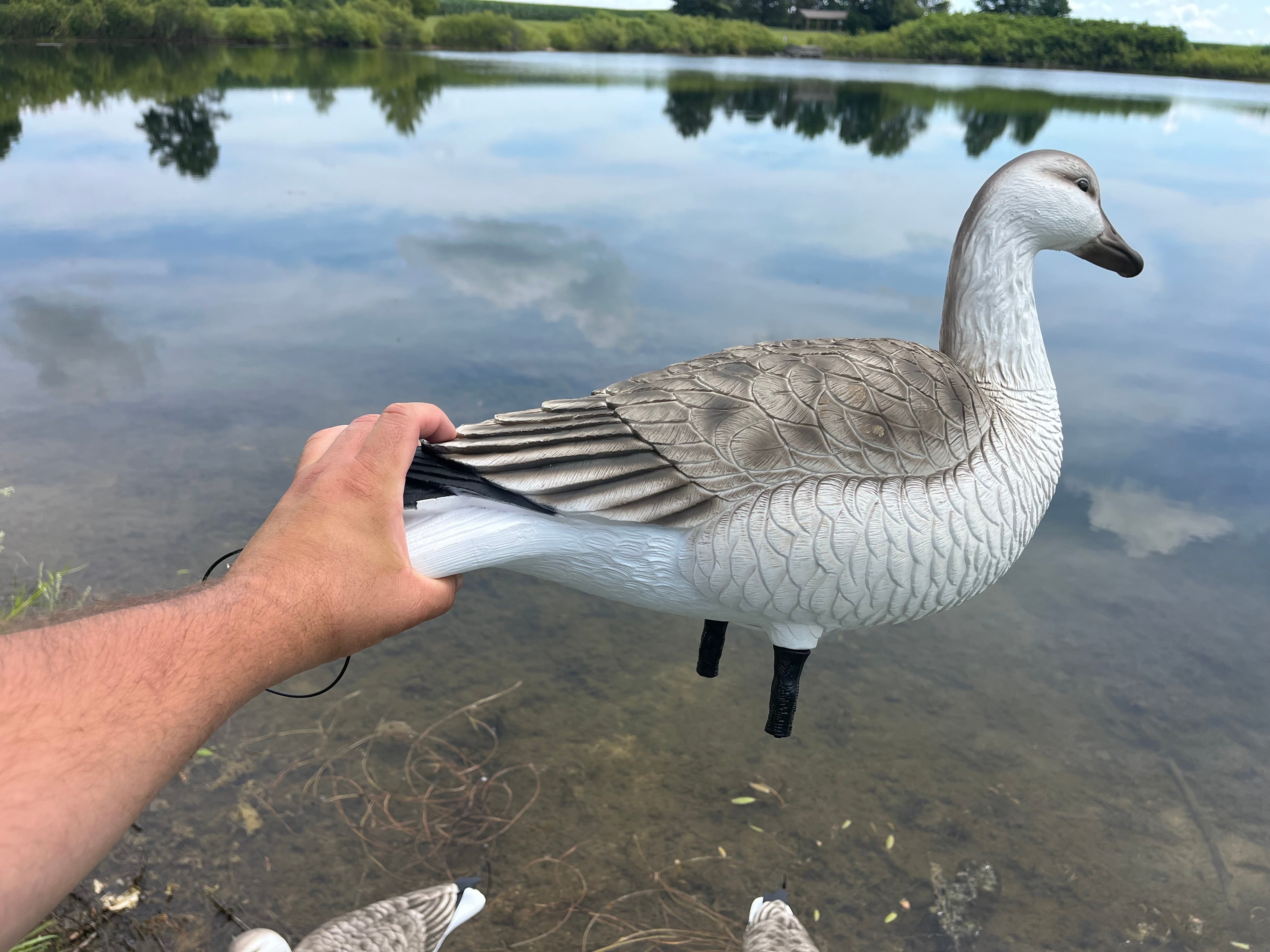 Full Body Snow Juvie Goose Decoys "PE Plastic" (hard body) - "Per 6-Pack"
