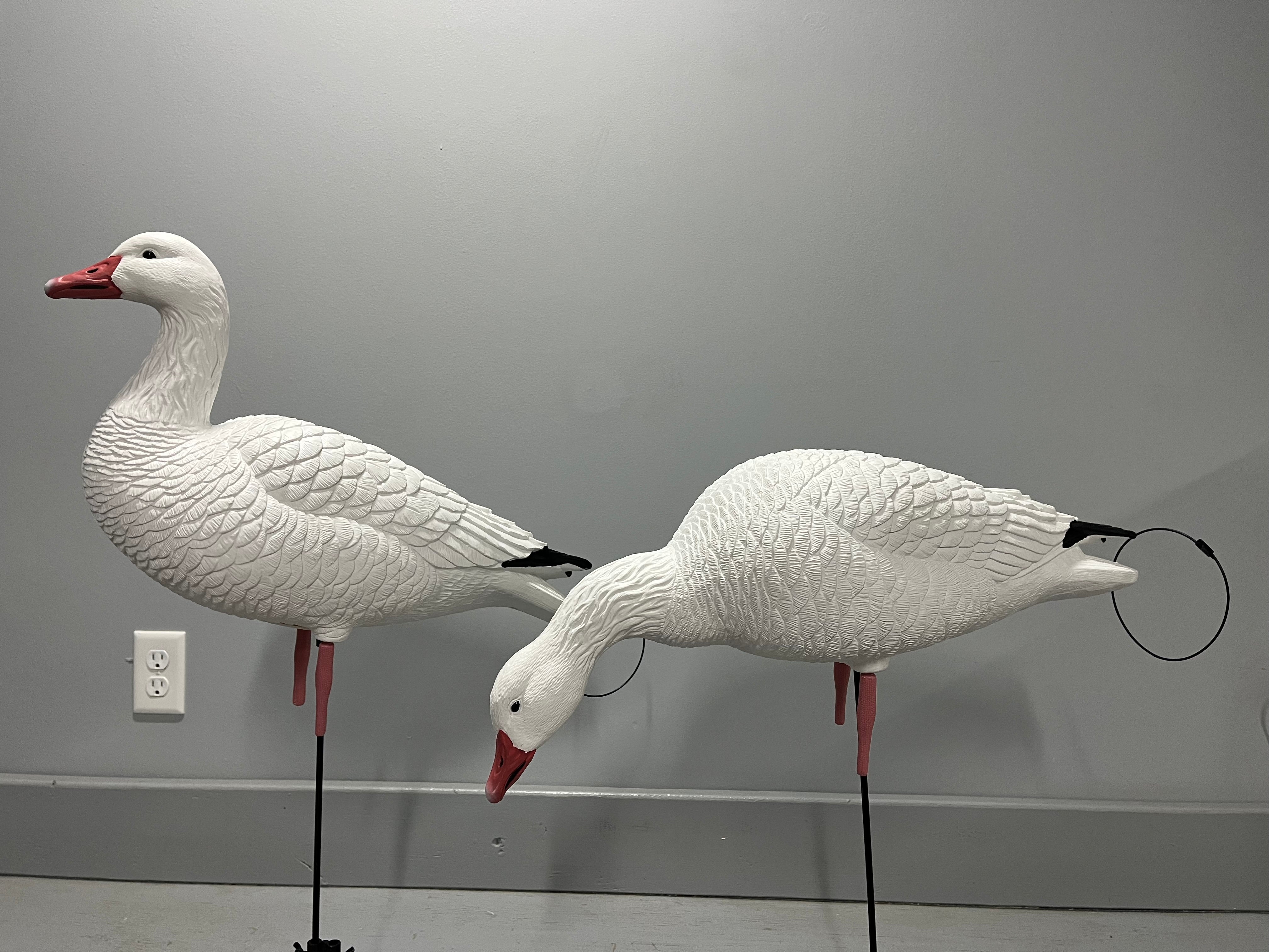 Full Body Snow Goose Decoys "PE PLASTIC" (hard body) with Square Bases - "Per 6-Pack"